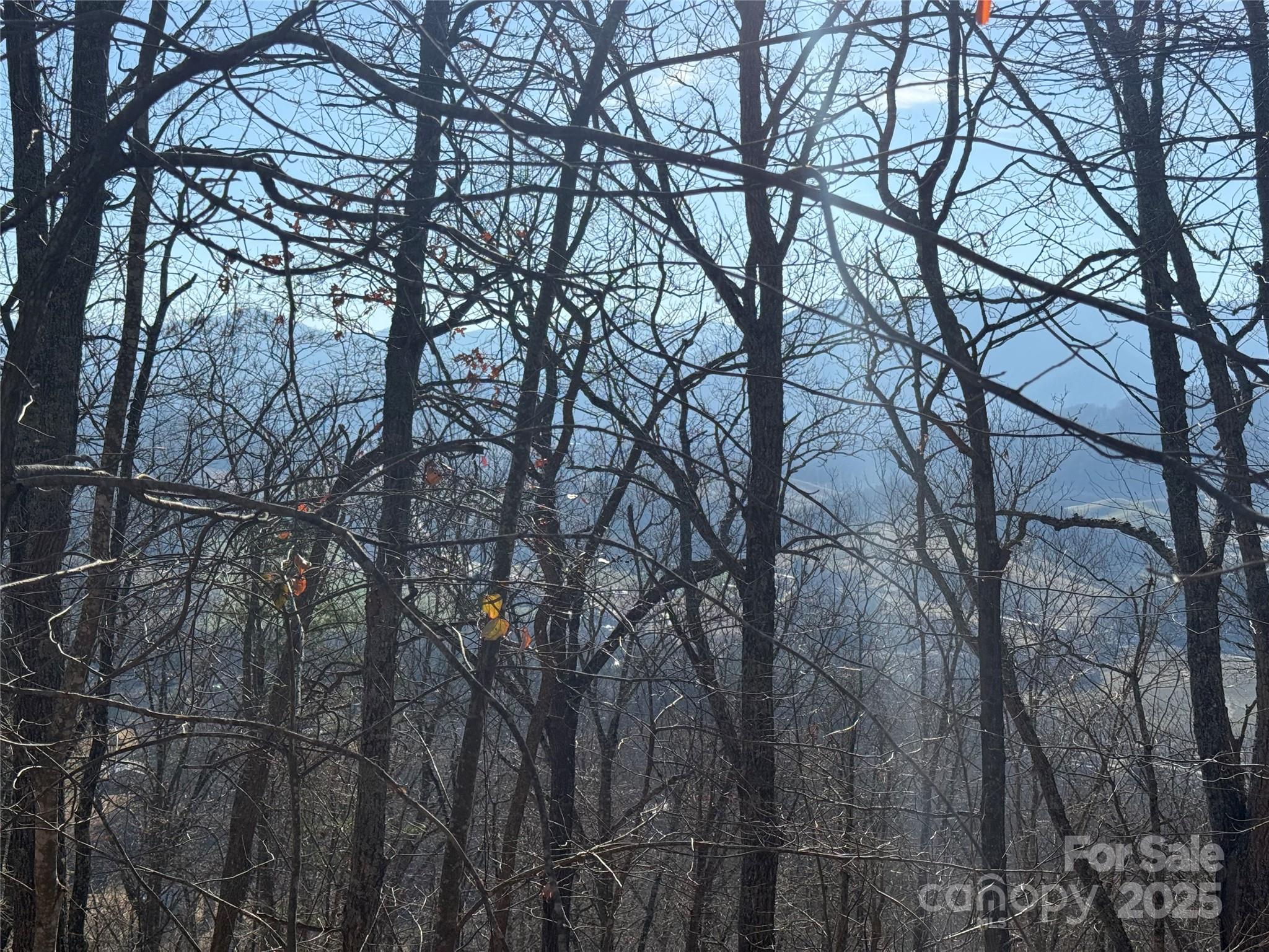 Lot 12 Bernies Trail 12 Property Photo 16