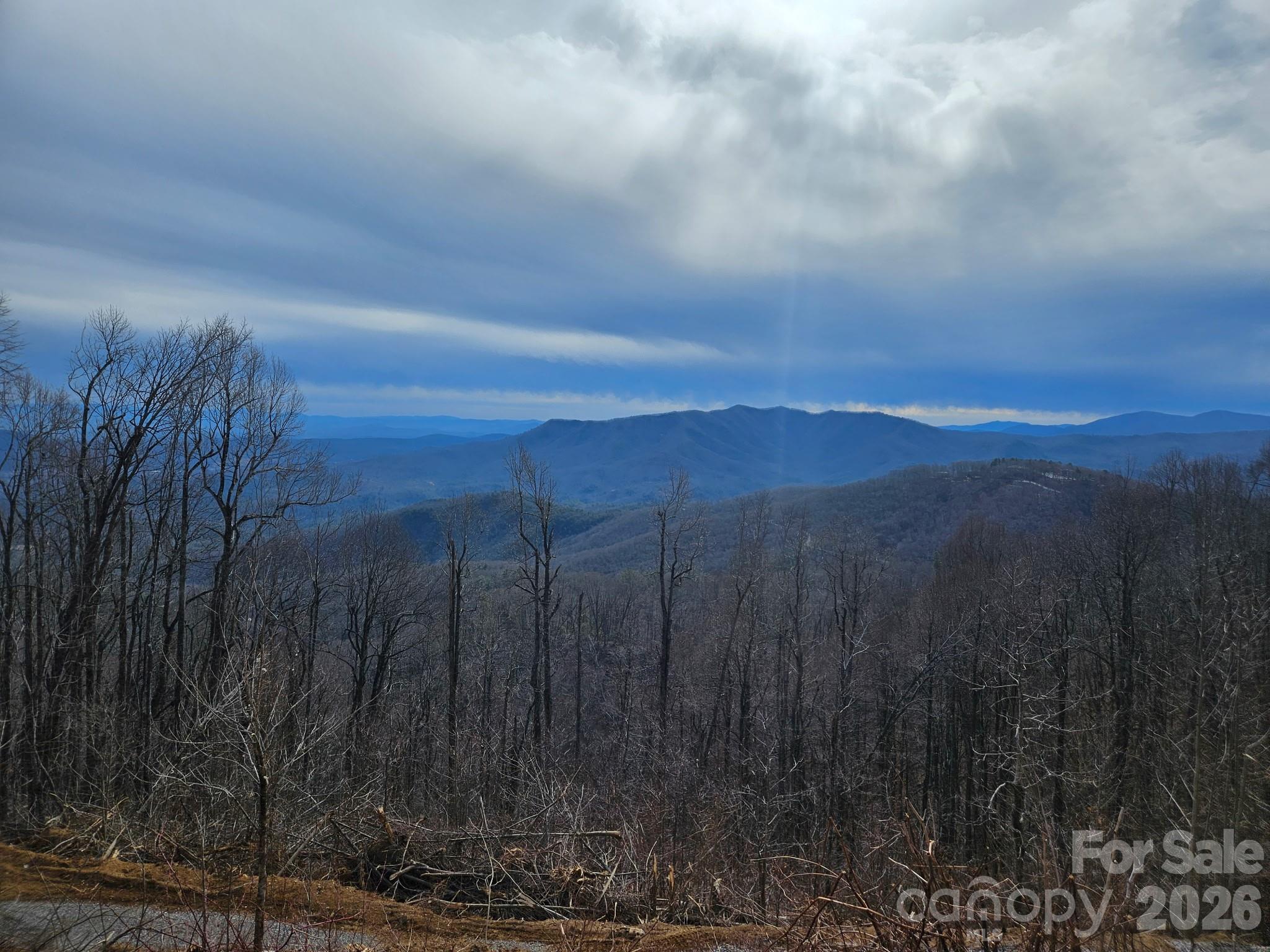 Tbd Osborne Knob Road Property Photo 2