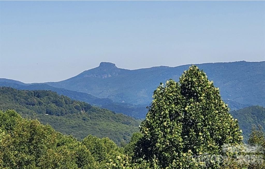Tbd Osborne Knob Road Property Photo 3