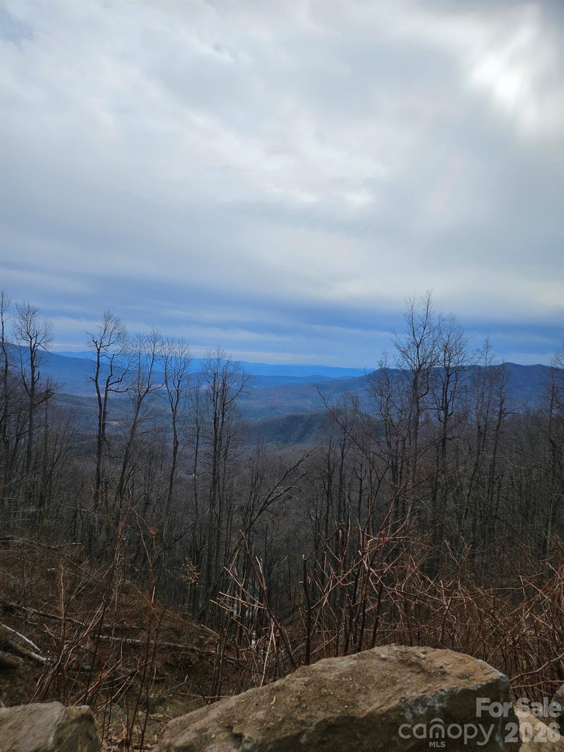 Tbd Osborne Knob Road Property Photo 13