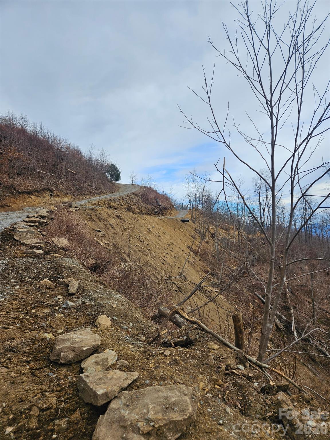 Tbd Osborne Knob Road Property Photo 14