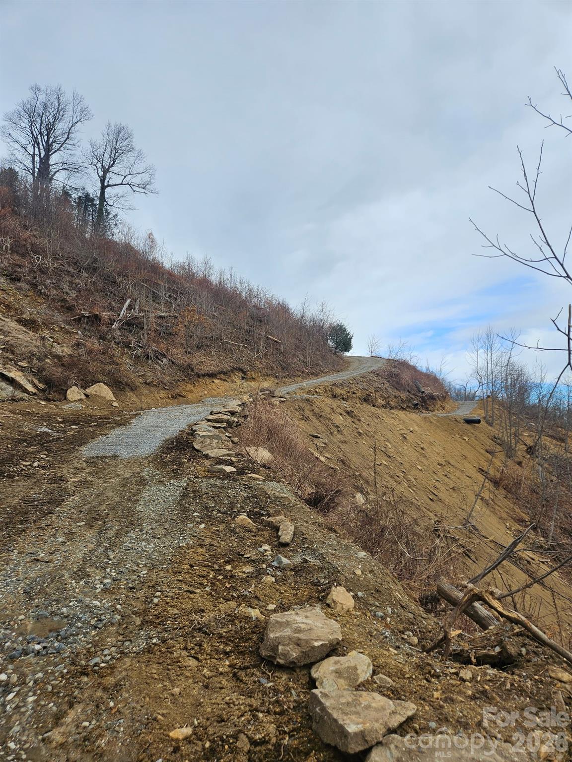 Tbd Osborne Knob Road Property Photo 15