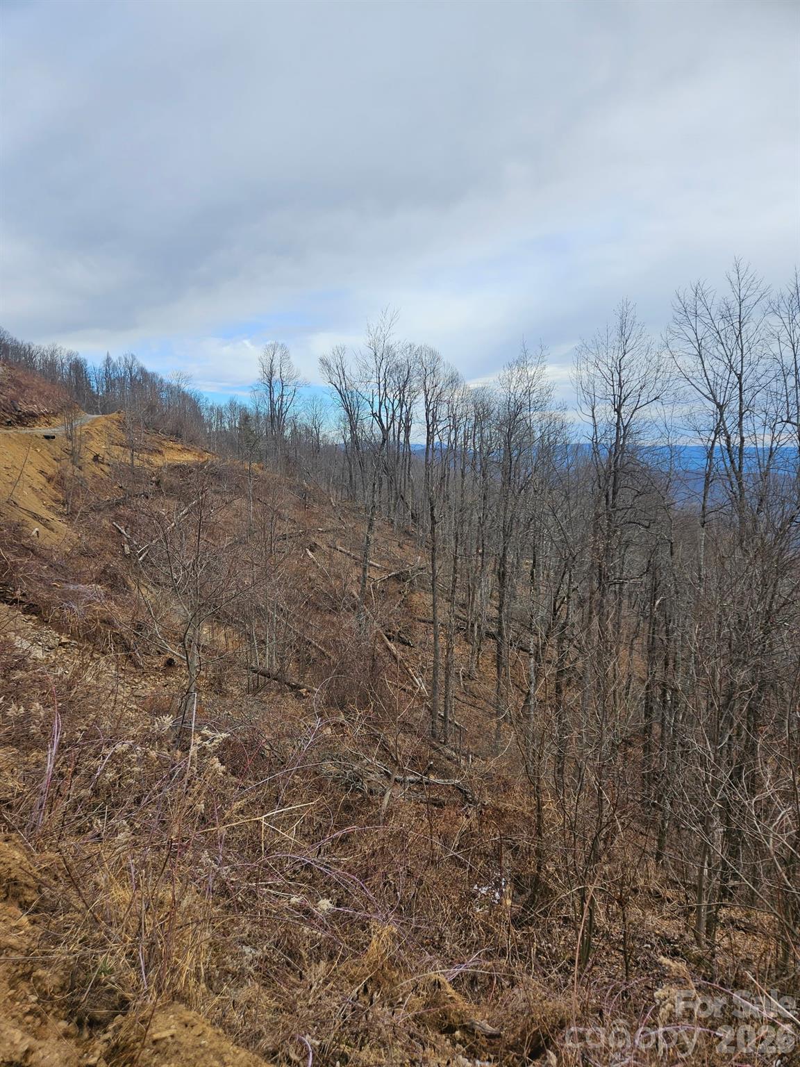 Tbd Osborne Knob Road Property Photo 16