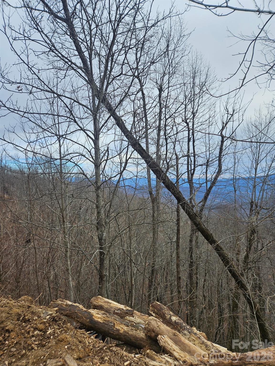 Tbd Osborne Knob Road Property Photo 17