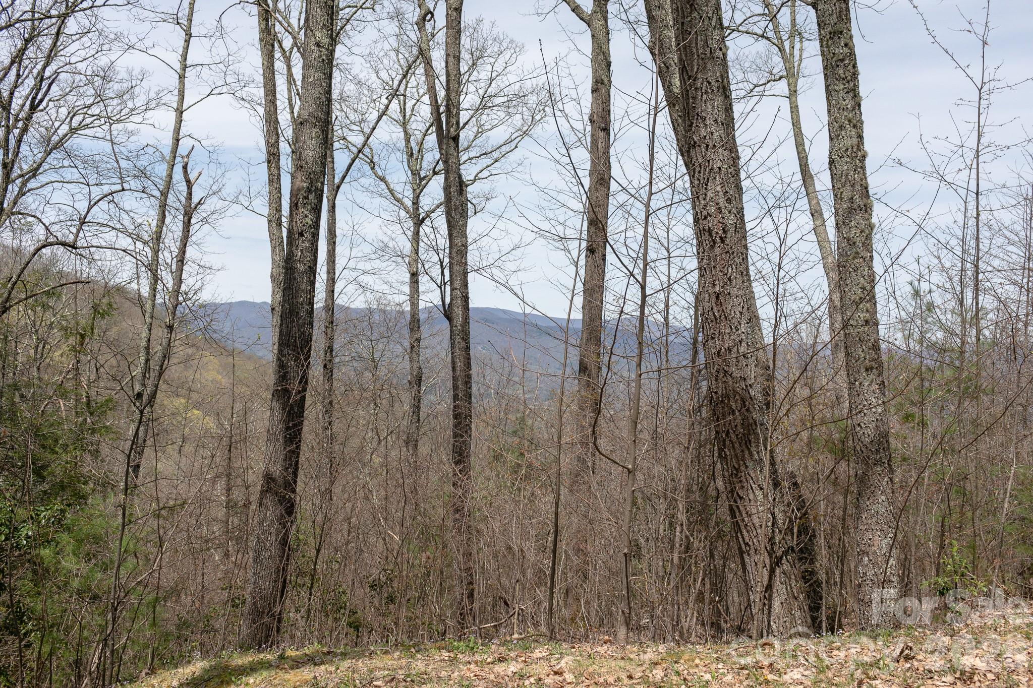 Lot 2 Heritage Ridge Loop Property Photo 4