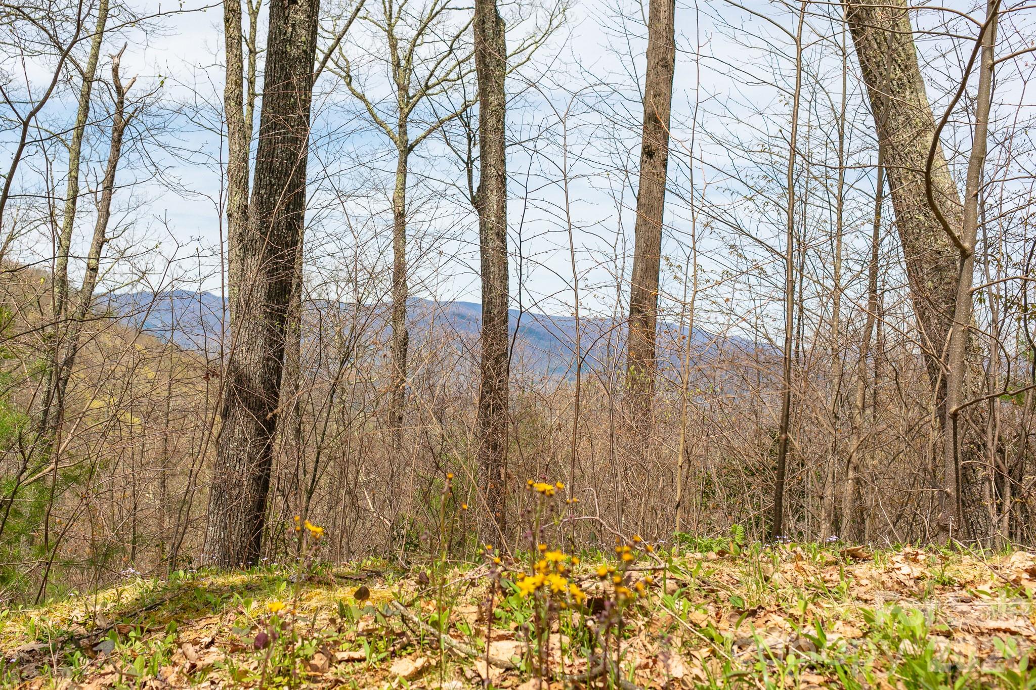 Lot 2 Heritage Ridge Loop Property Photo 6