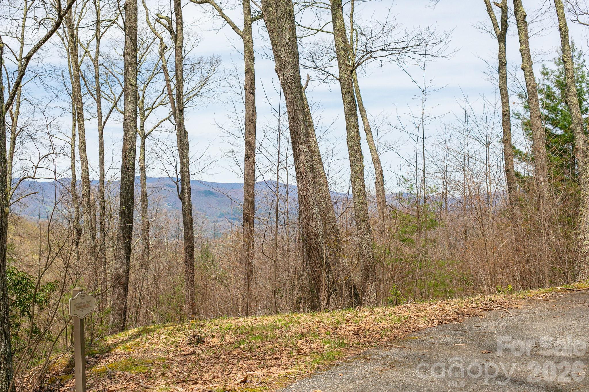 Lot 2 Heritage Ridge Loop Property Photo 8