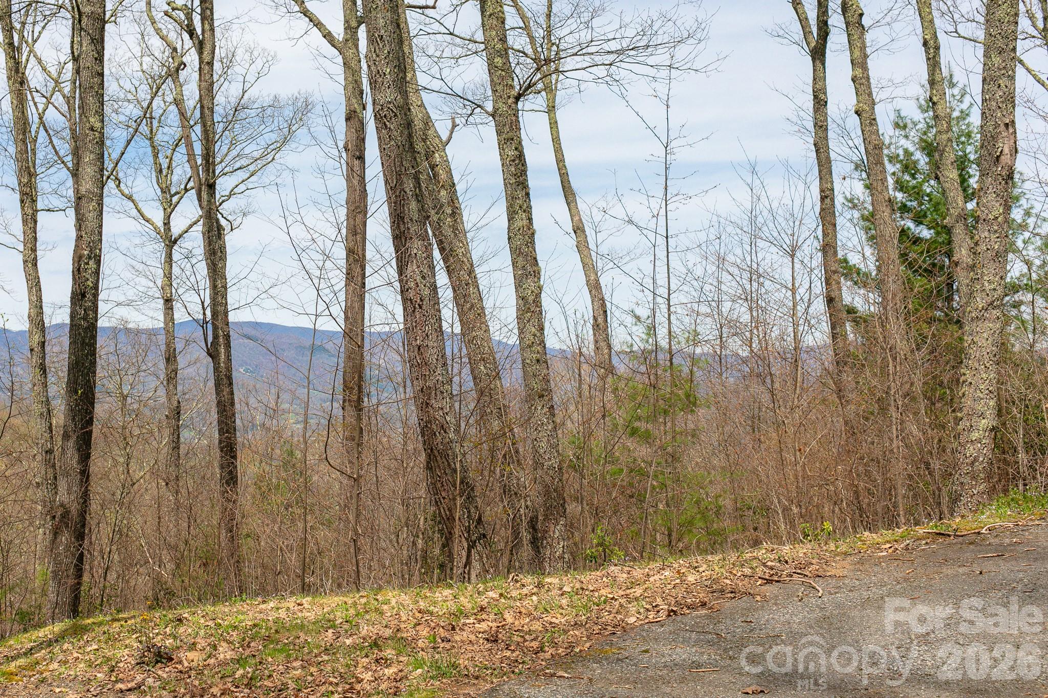 Lot 2 Heritage Ridge Loop Property Photo 9