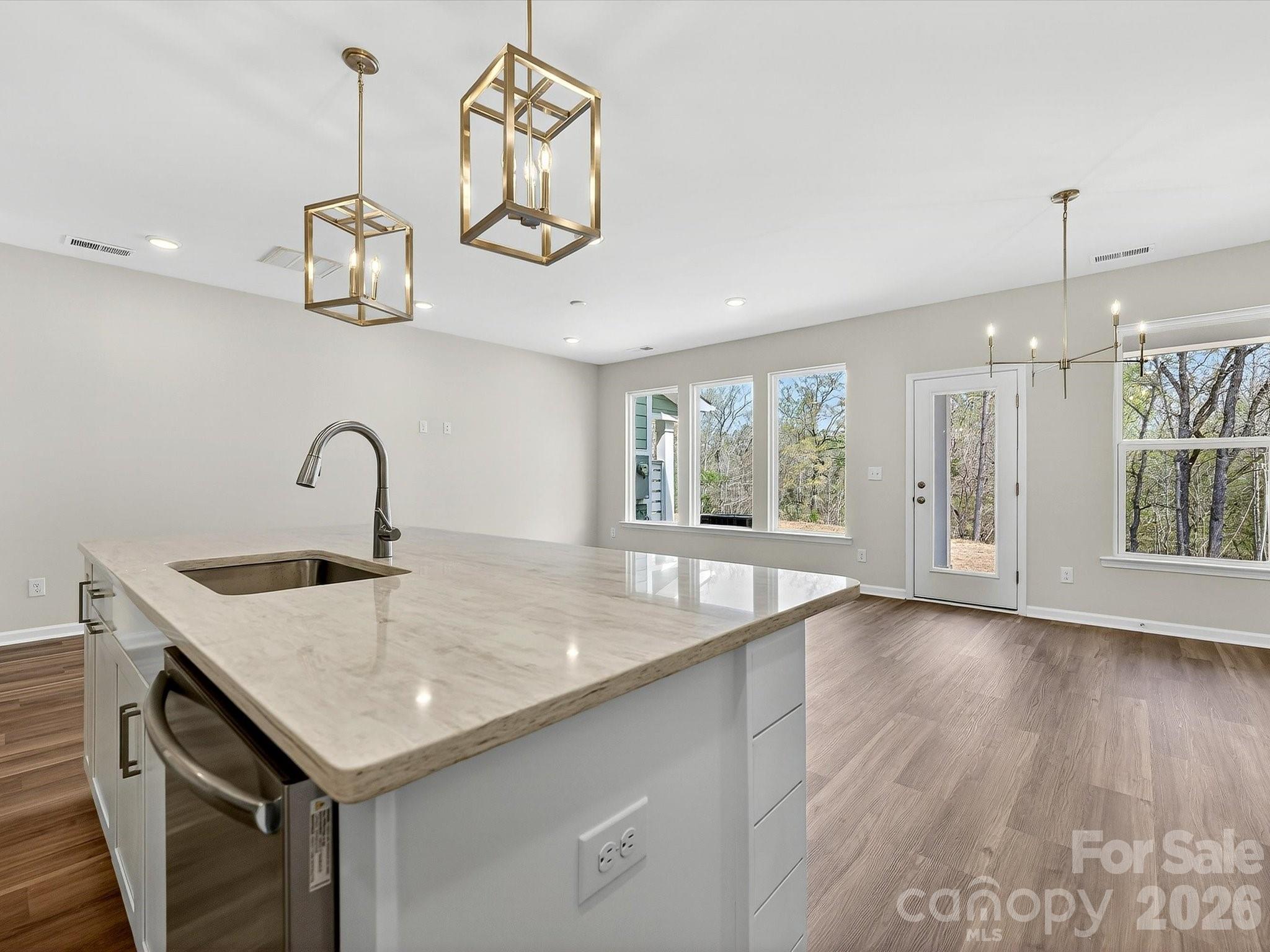 250 Alluvium Lane Property Photo 2