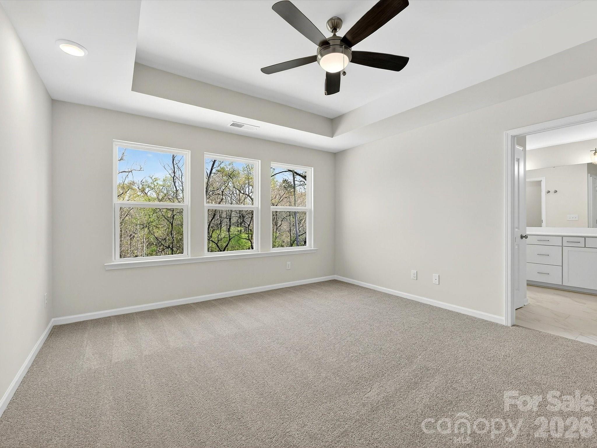 250 Alluvium Lane Property Photo 15