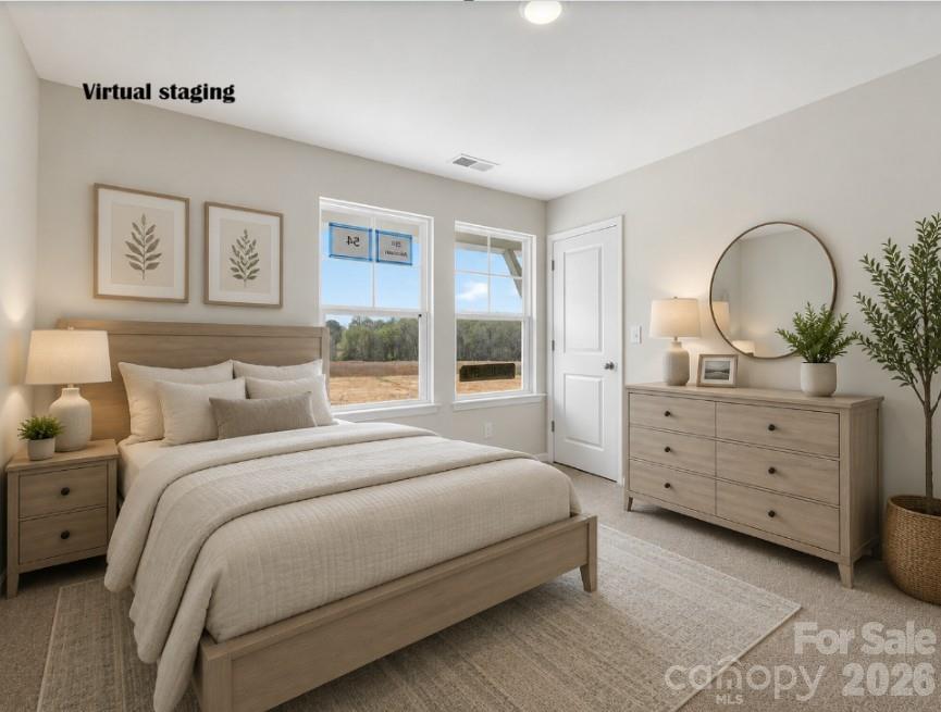 250 Alluvium Lane Property Photo 18