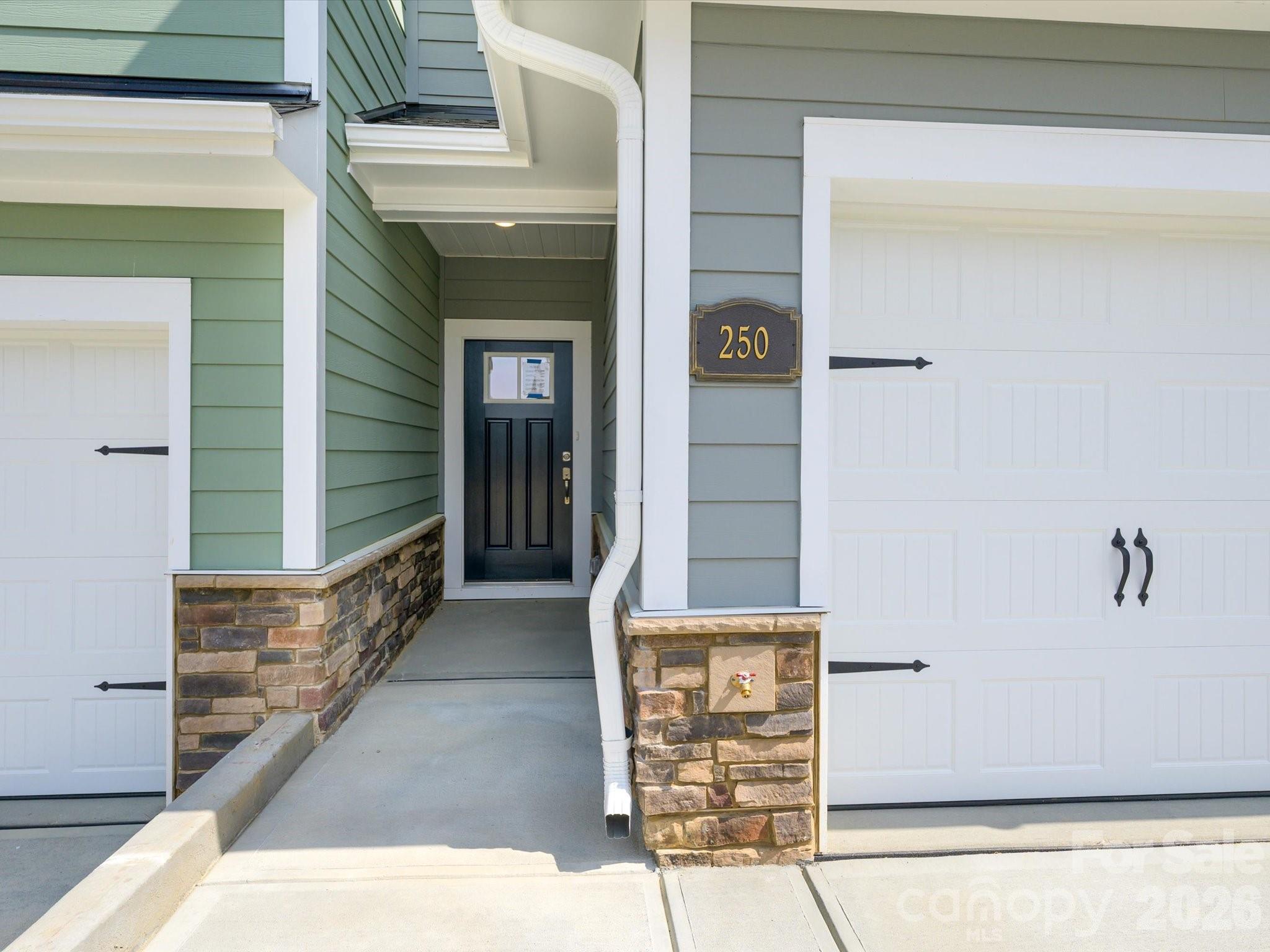 250 Alluvium Lane Property Photo 28