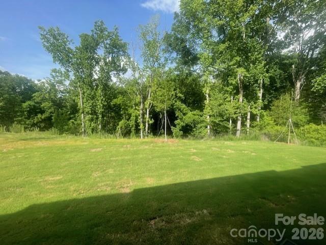 250 Alluvium Lane Property Photo 34