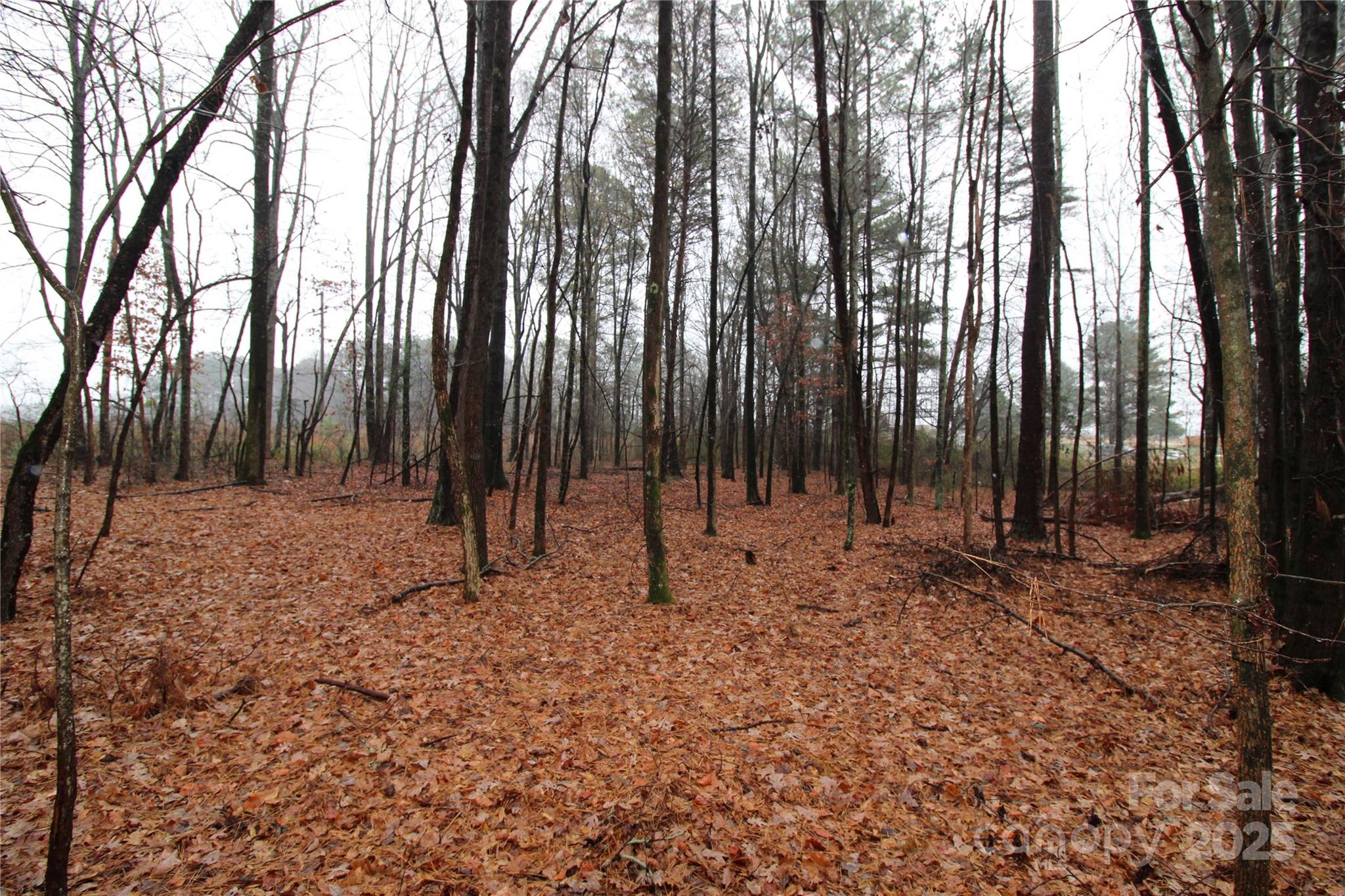 7.10+/-ac Bess Road Lot K Property Photo 5