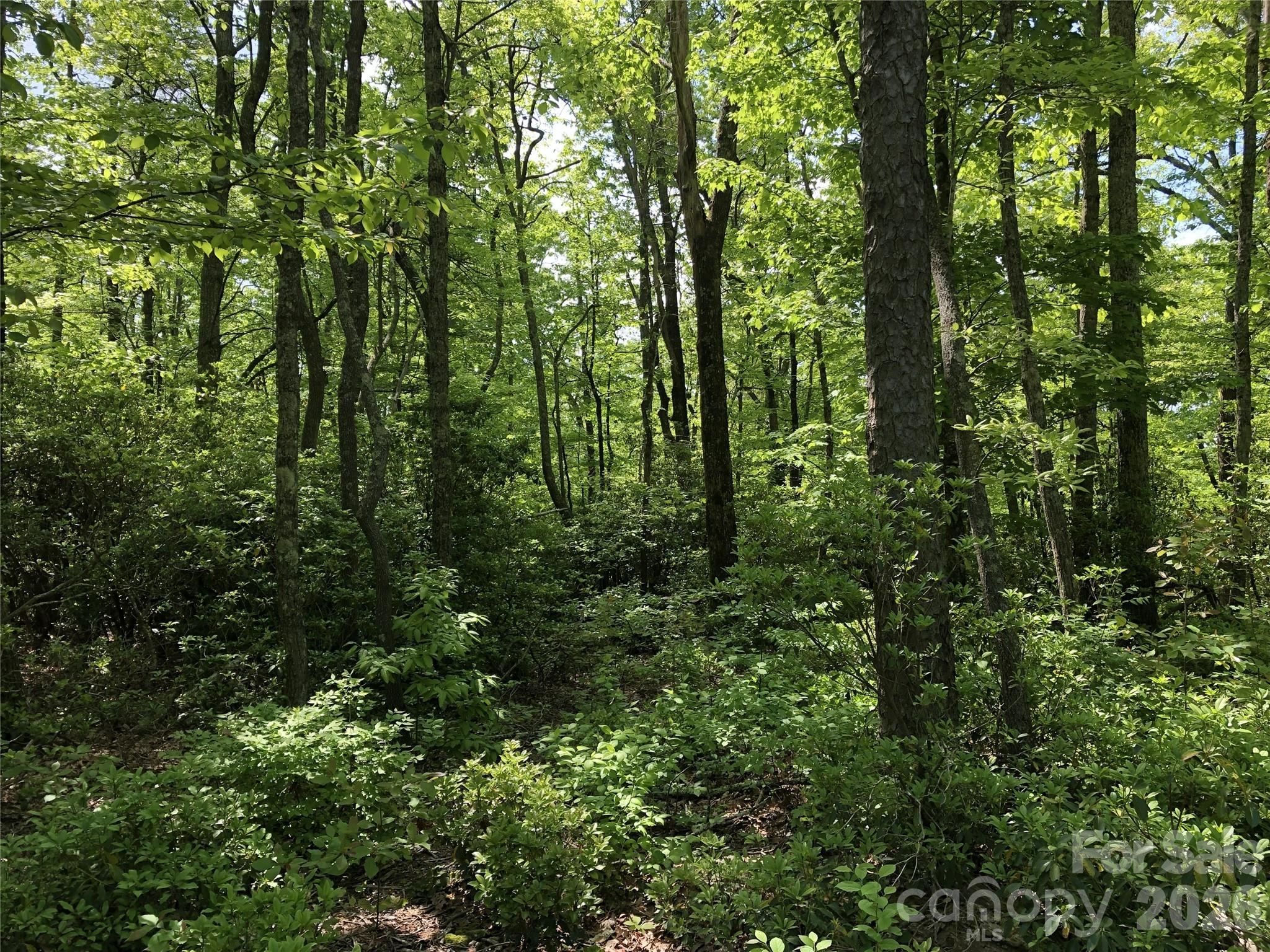 000 Millard Crossing 18 Property Photo 1