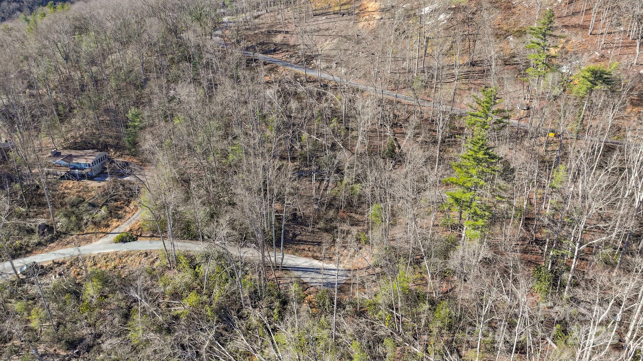 Tbd Mchone Road Property Photo 4