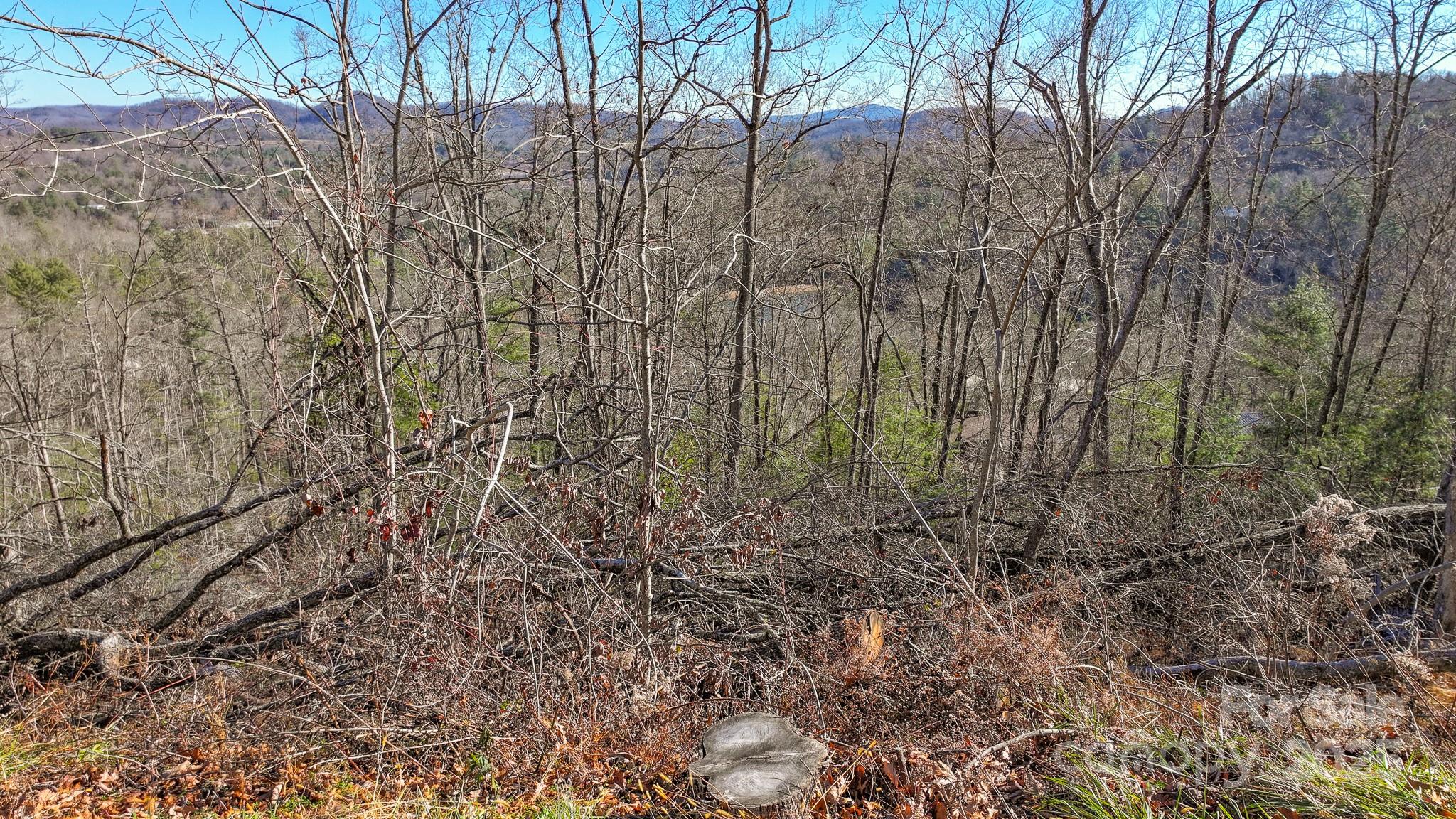 Tbd Mchone Road Property Photo 5