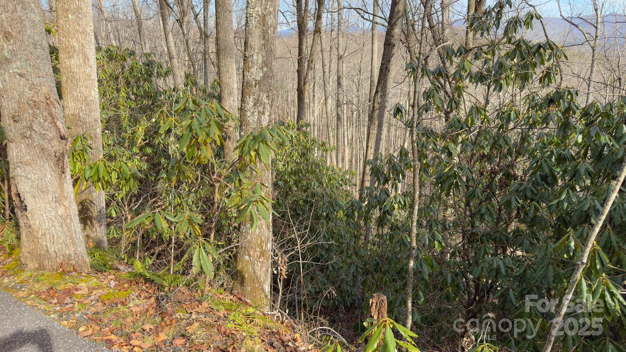 Tbd High Acres Road Property Photo 3