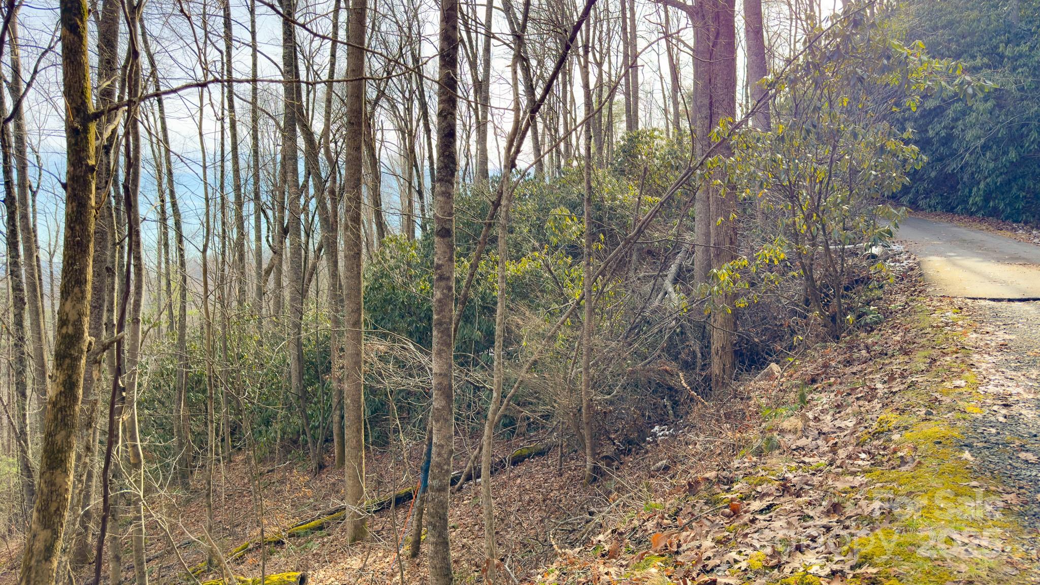 Tbd High Acres Road Property Photo 4