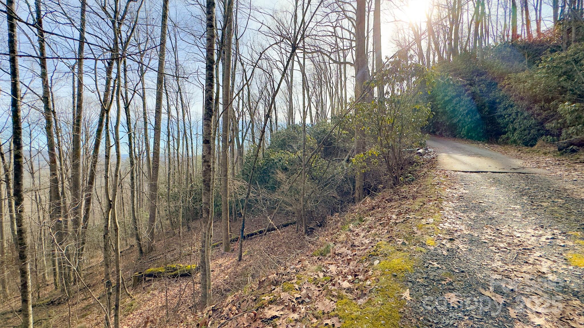 Tbd High Acres Road Property Photo 5