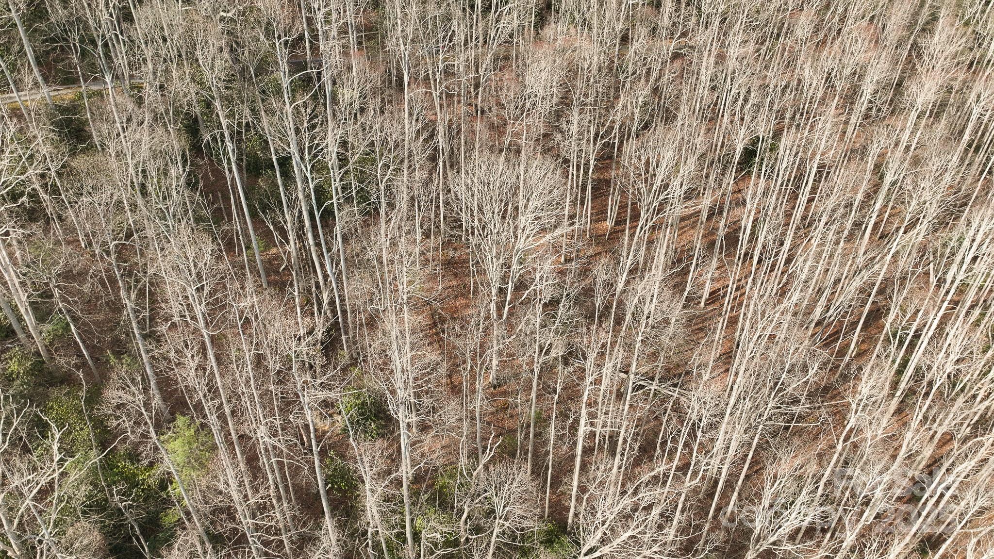 Tbd High Acres Road Property Photo 8