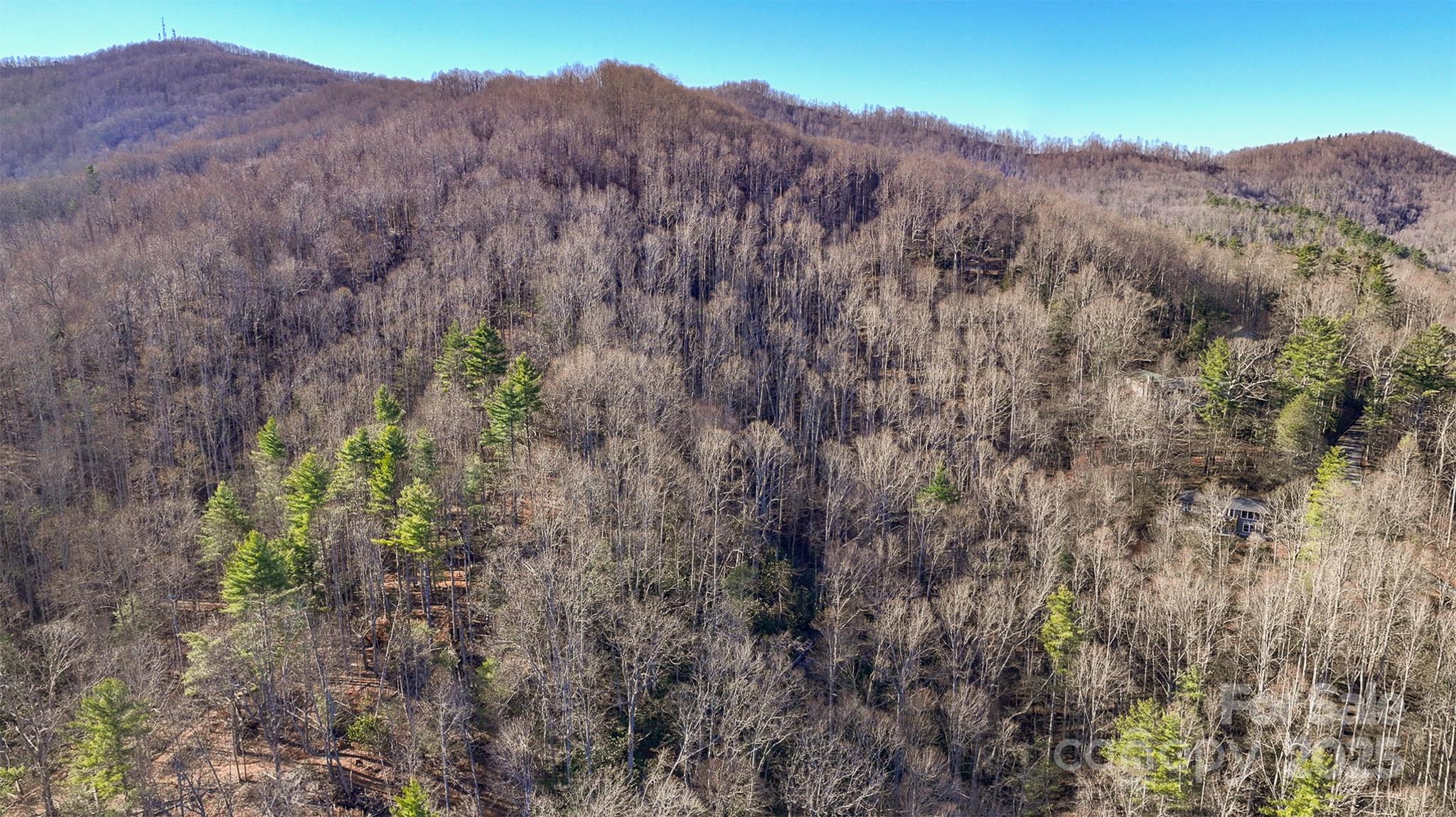 Tbd Longview Road Property Photo 4