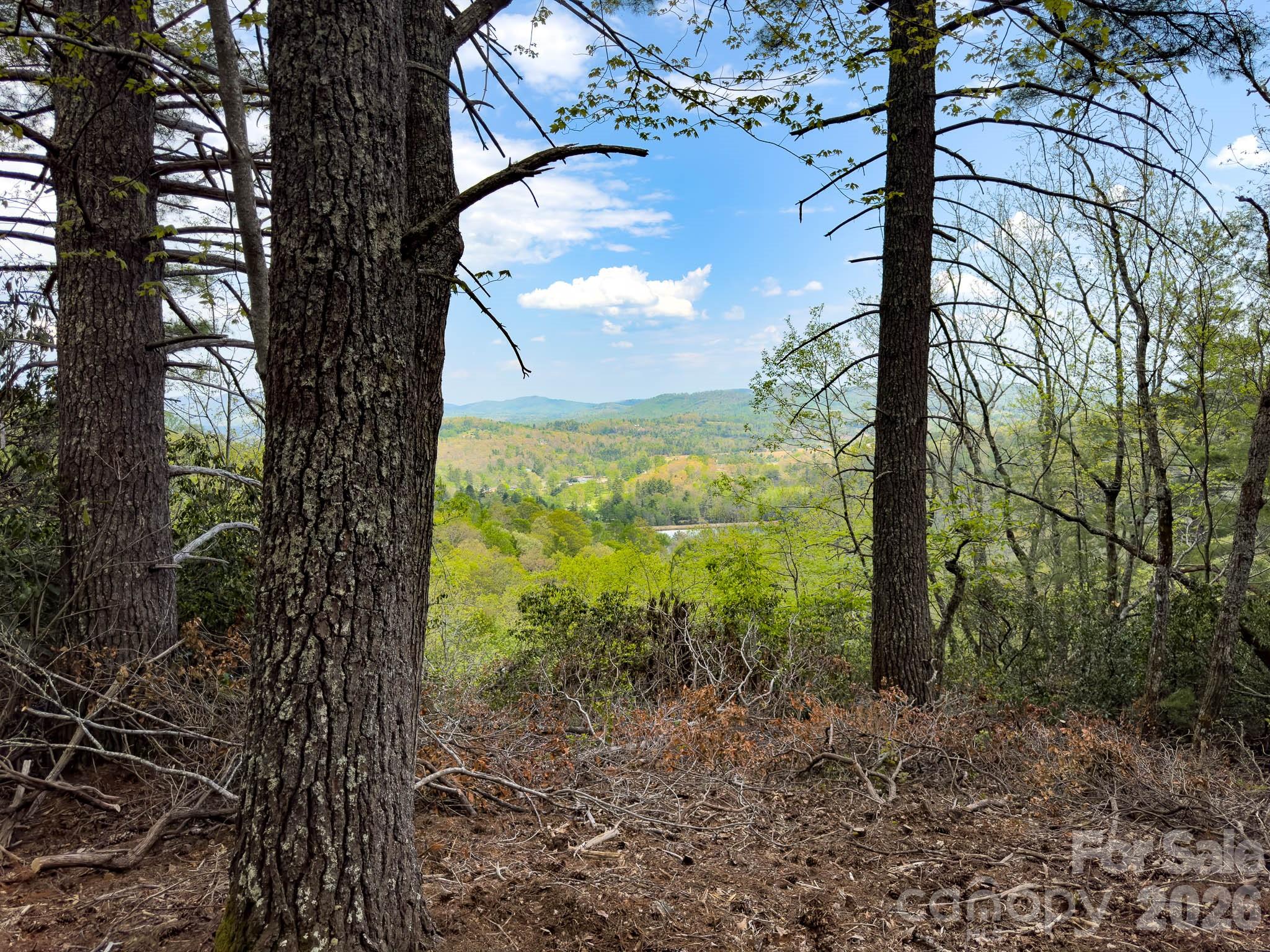 Tbd Pine Point Road Property Photo 3