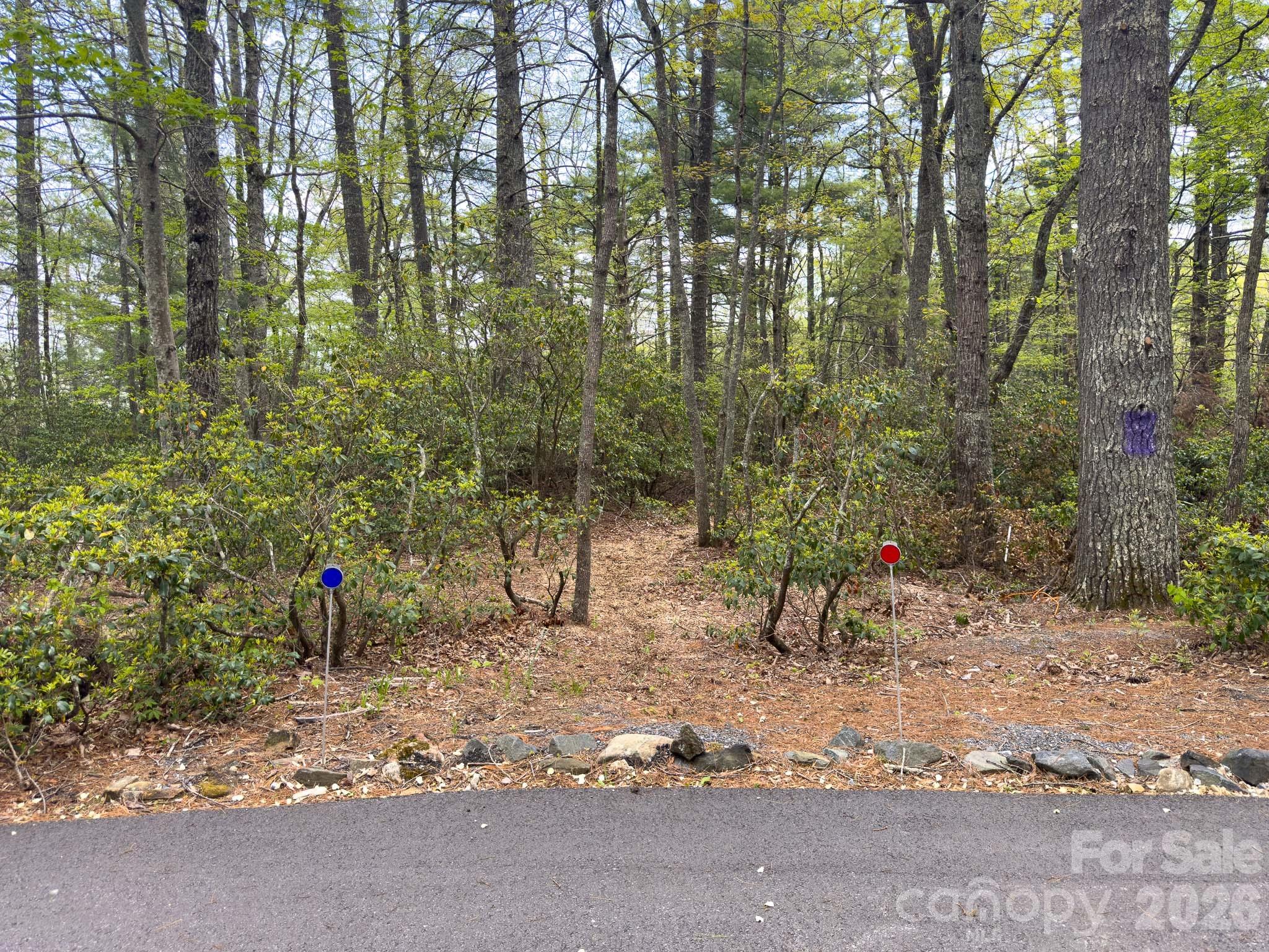 Tbd Pine Point Road Property Photo 4
