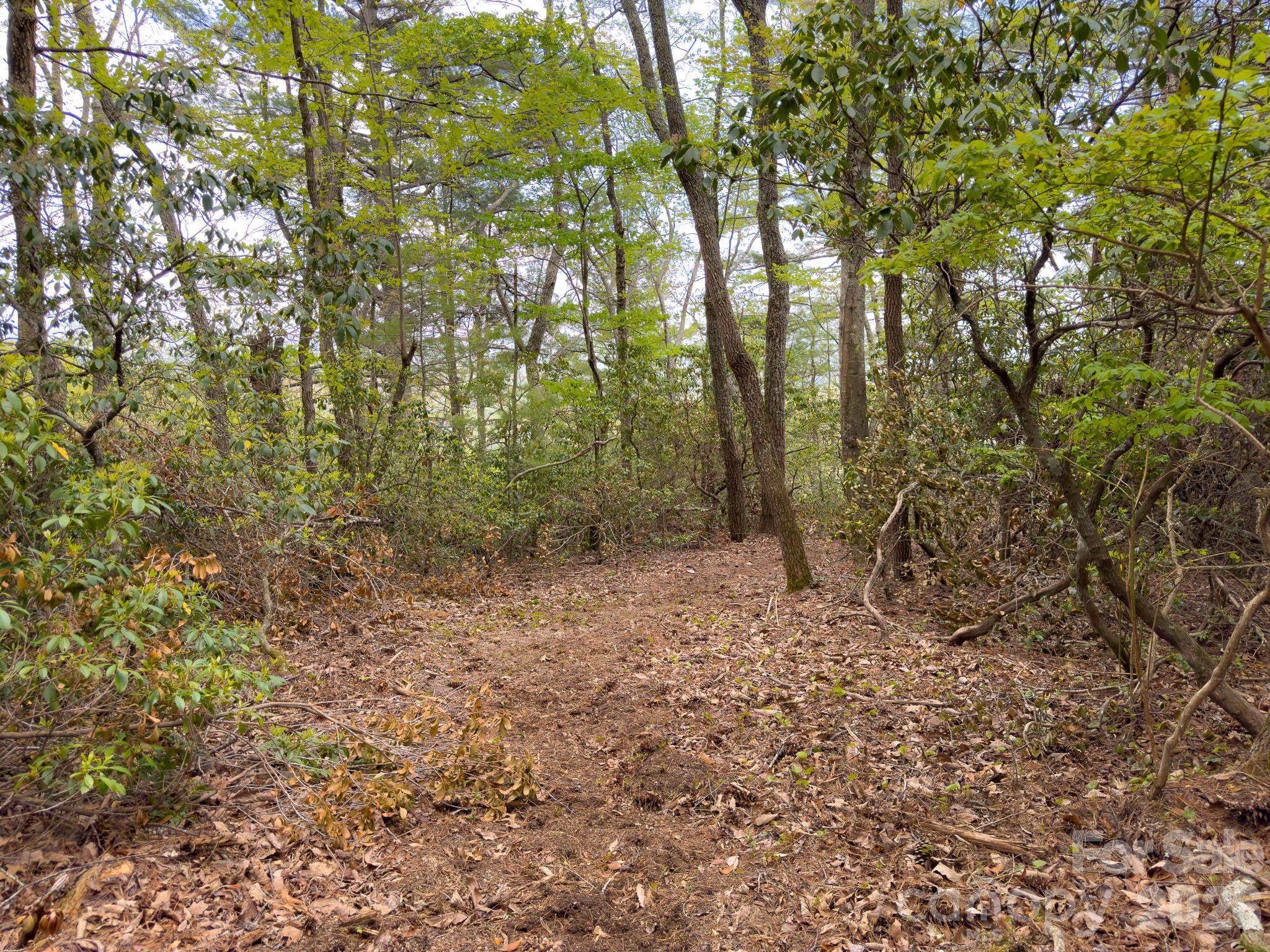 Tbd Pine Point Road Property Photo 5