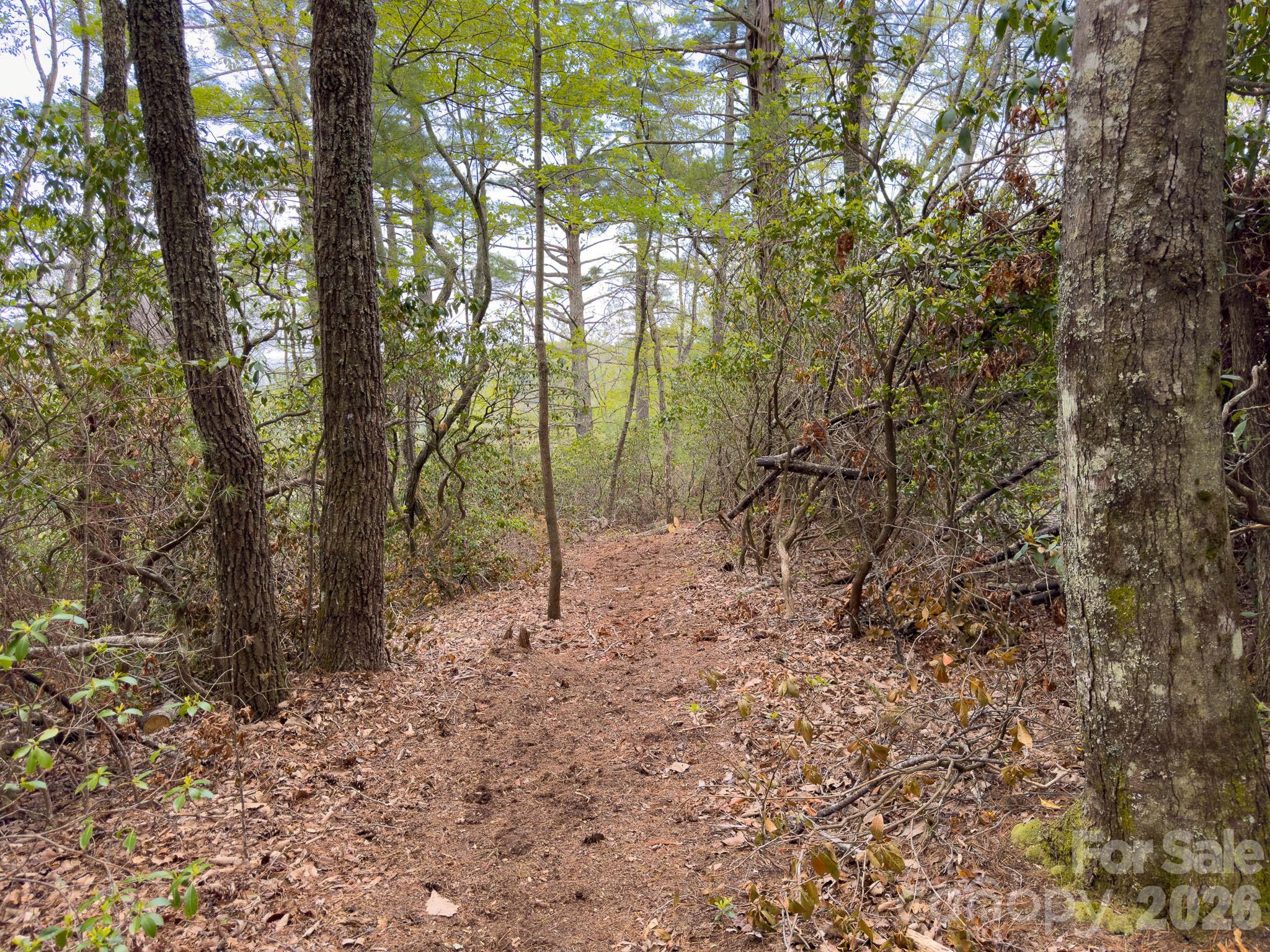 Tbd Pine Point Road Property Photo 6