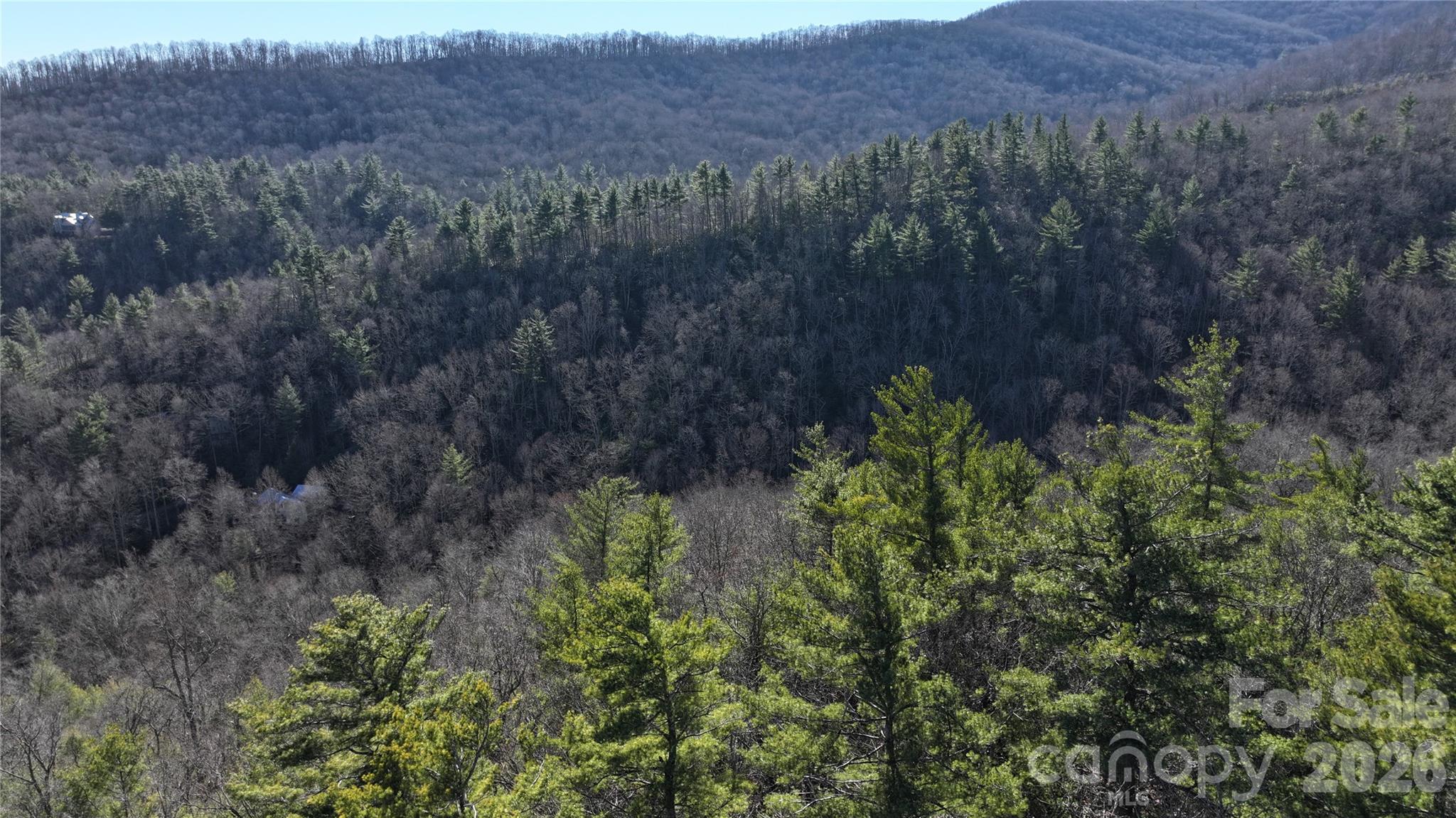Tbd Pine Point Road Property Photo 8