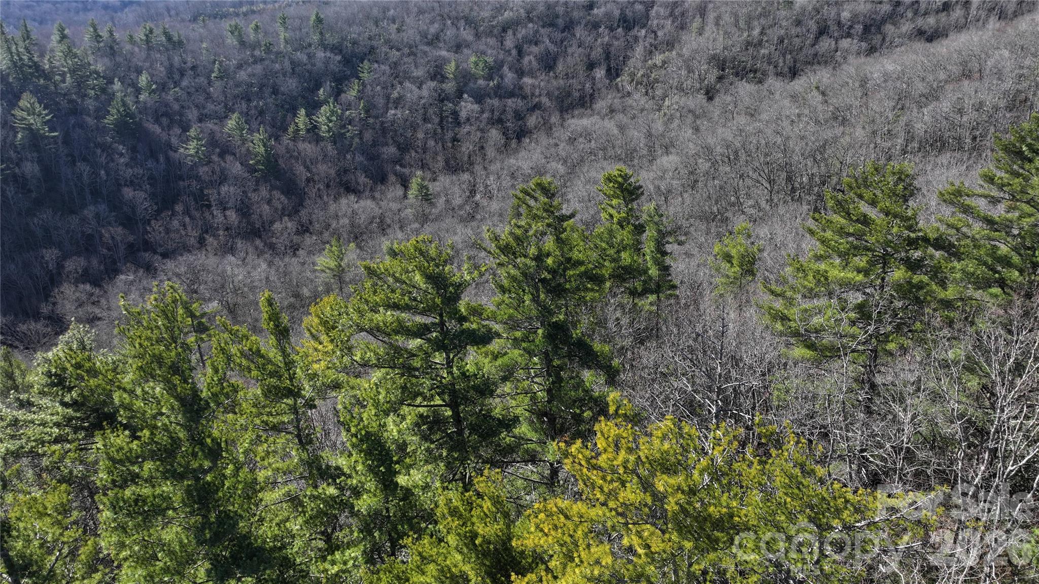 Tbd Pine Point Road Property Photo 9