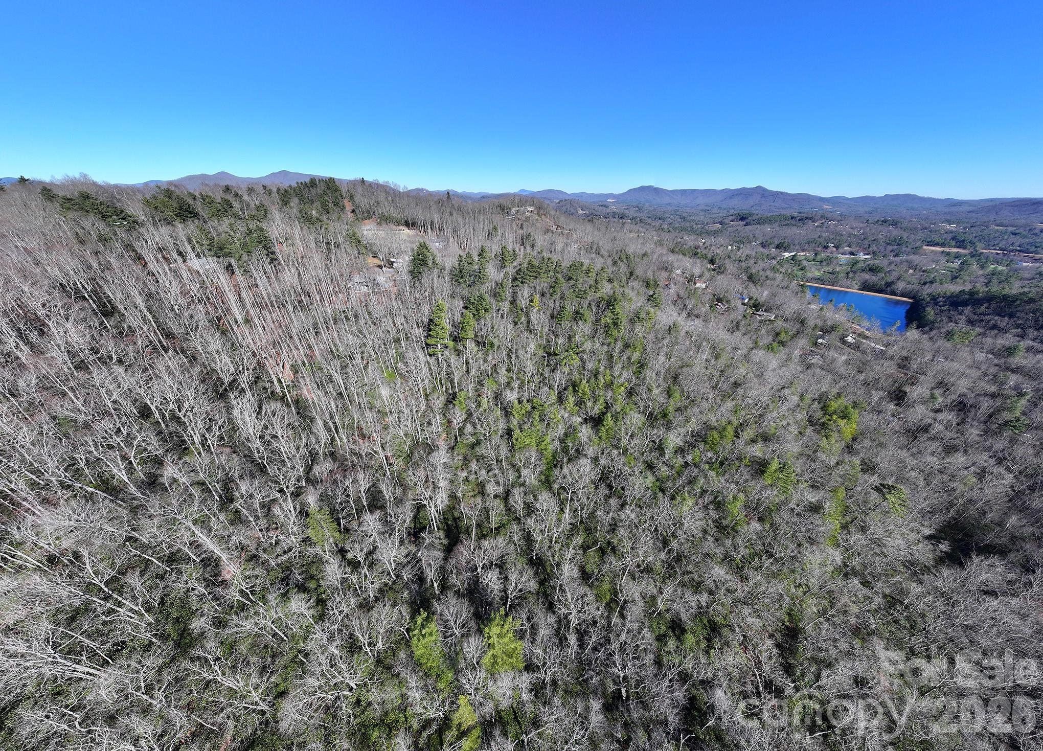 Tbd Pine Point Road Property Photo 10