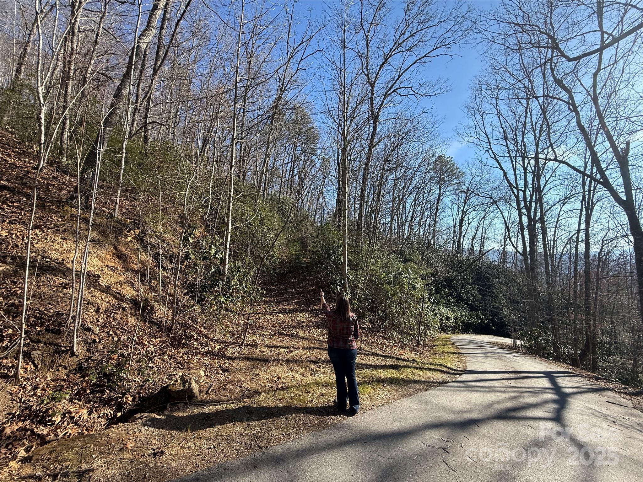 Lot 27 Bernies Trail 27 Property Photo 1
