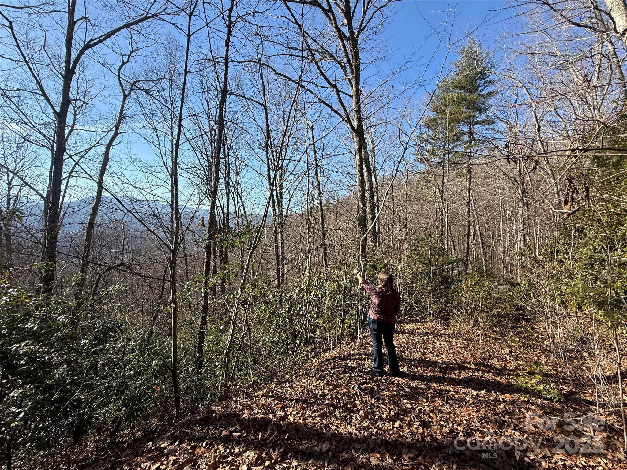 Lot 27 Bernies Trail 27 Property Photo 2