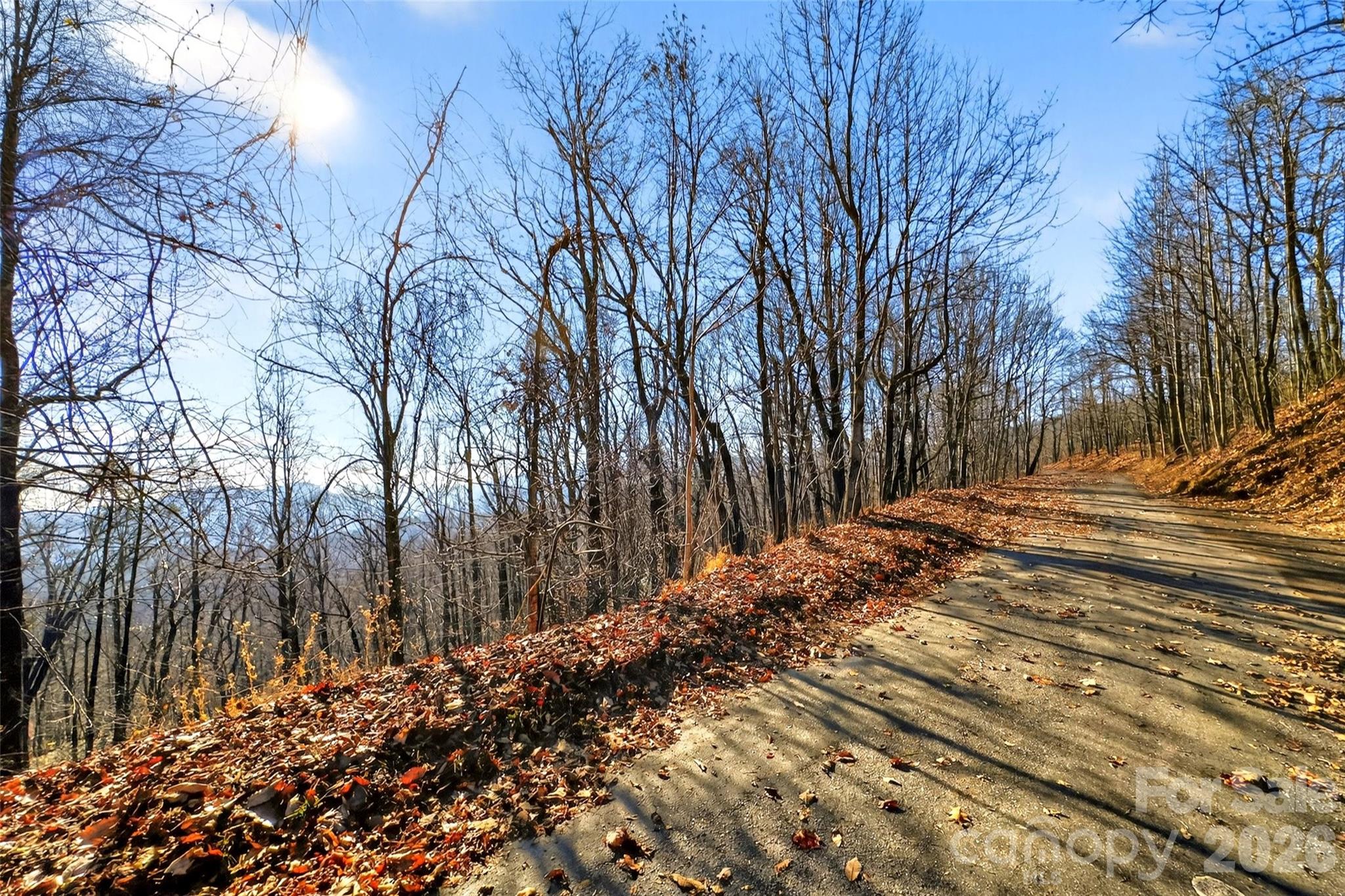 100 Wolf Pen Road Property Photo 4