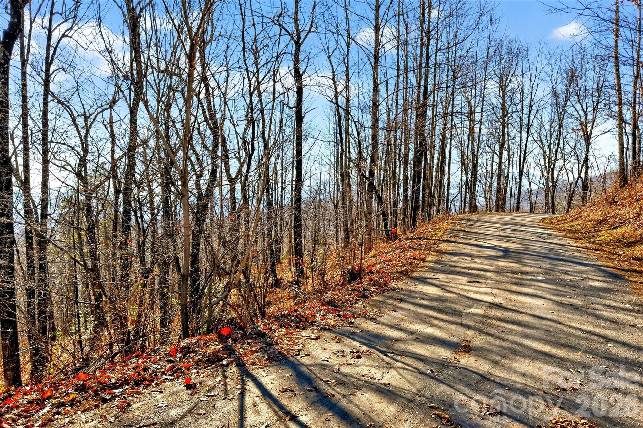 100 Wolf Pen Road Property Photo 8