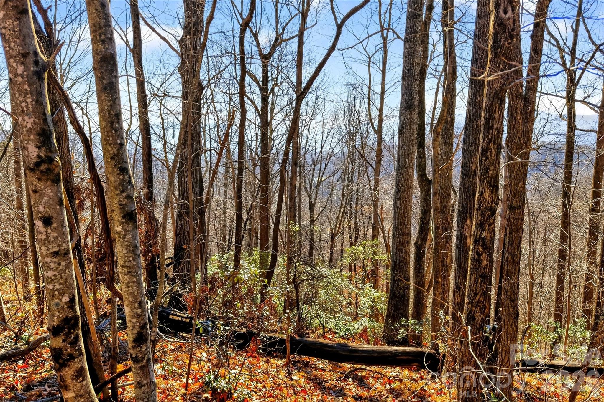100 Wolf Pen Road Property Photo 11