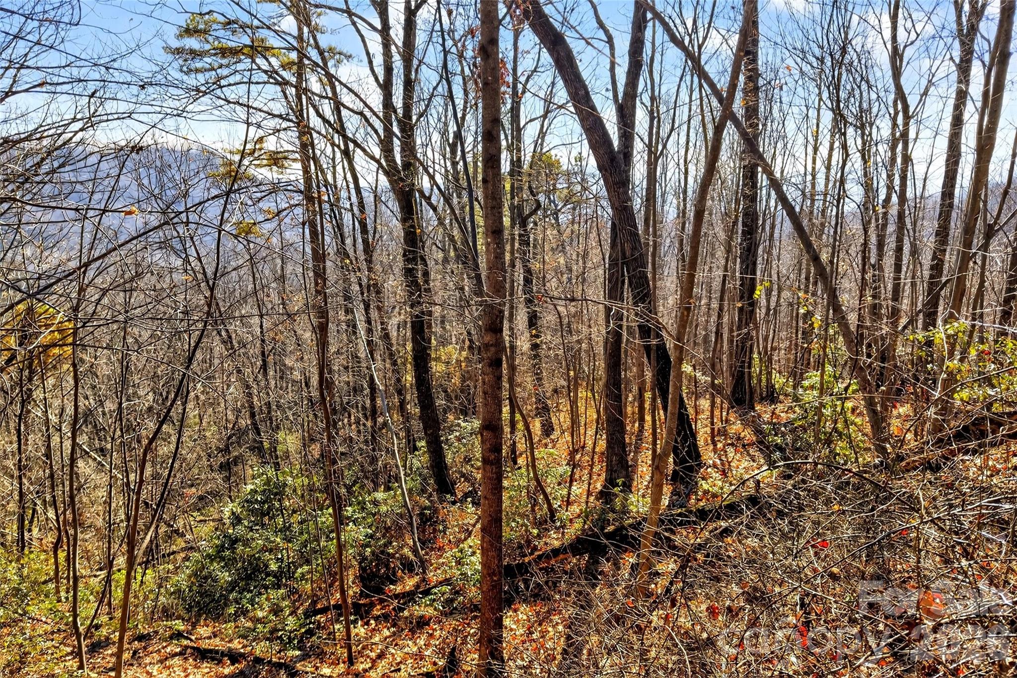 100 Wolf Pen Road Property Photo 16