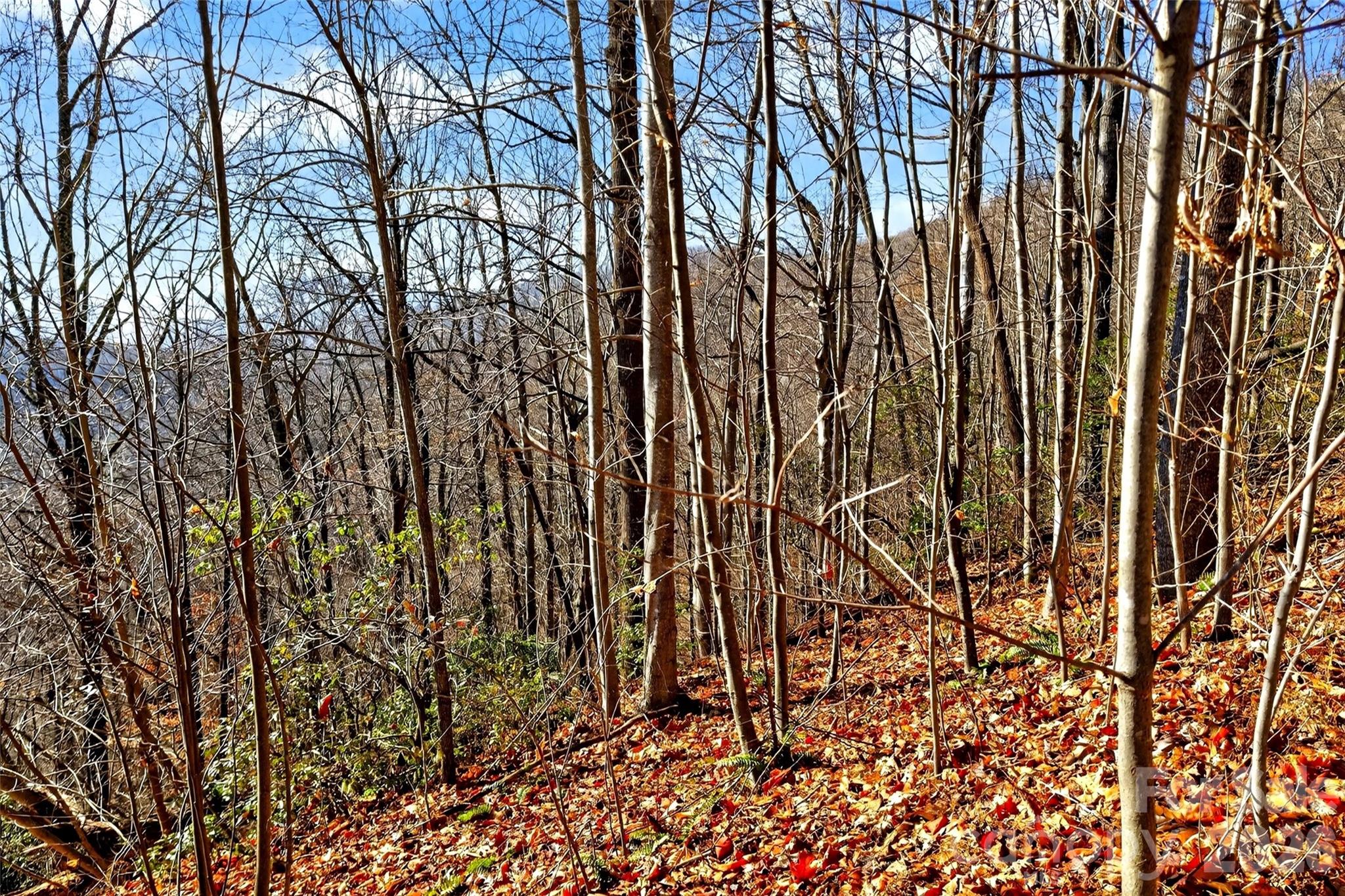 100 Wolf Pen Road Property Photo 19