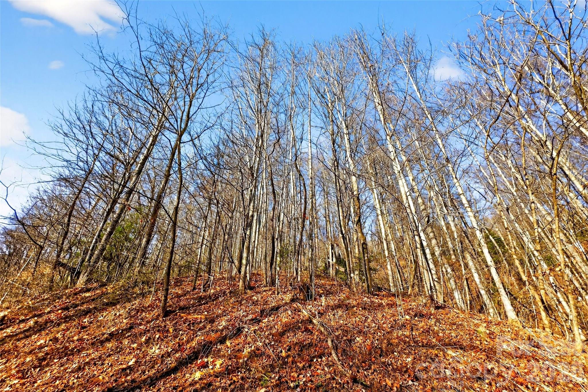 100 Wolf Pen Road Property Photo 23
