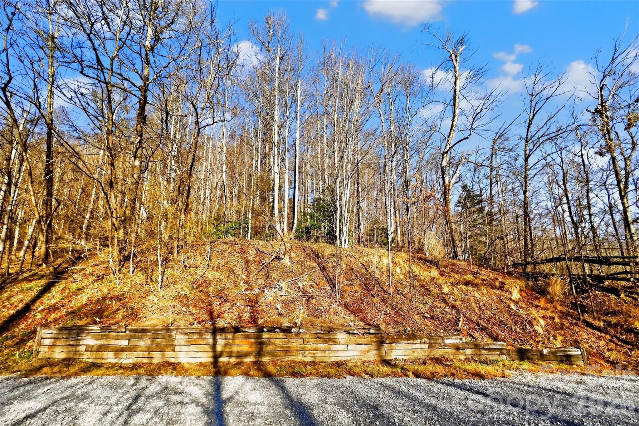 100 Wolf Pen Road Property Photo 24