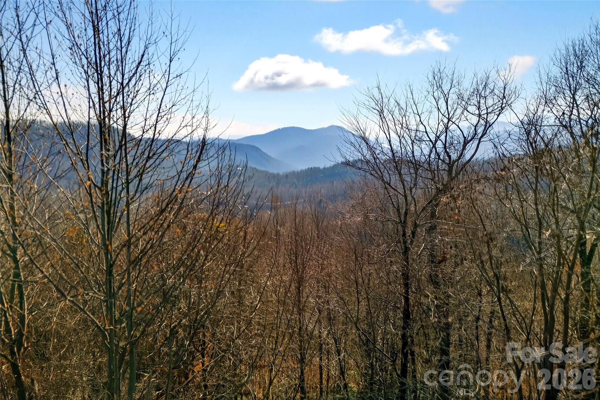 100 Wolf Pen Road Property Photo 29