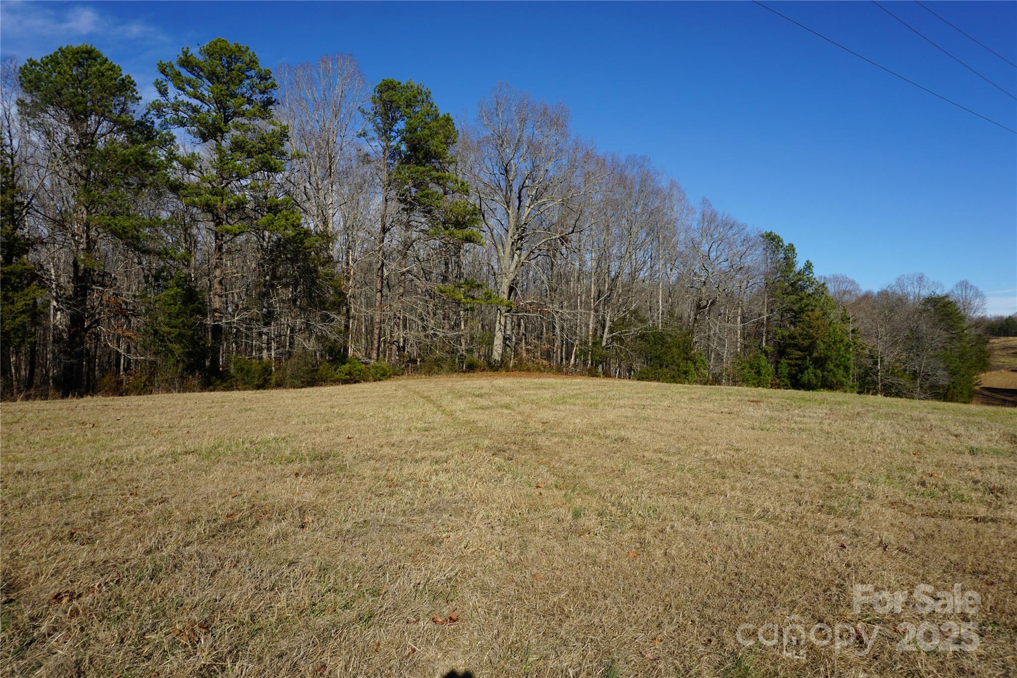 14+/-ac Canipe Road Lot E Property Photo 3