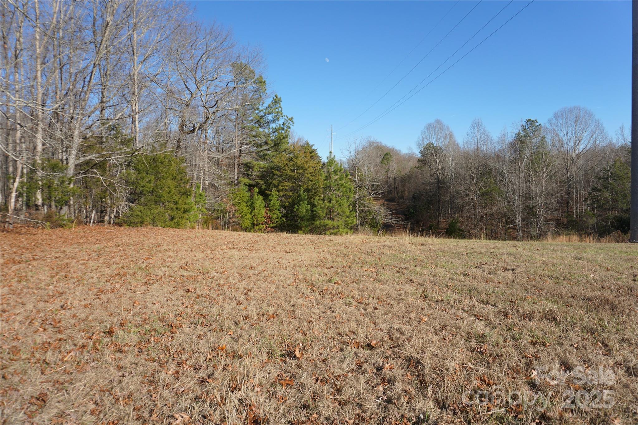14+/-ac Canipe Road Lot E Property Photo 6