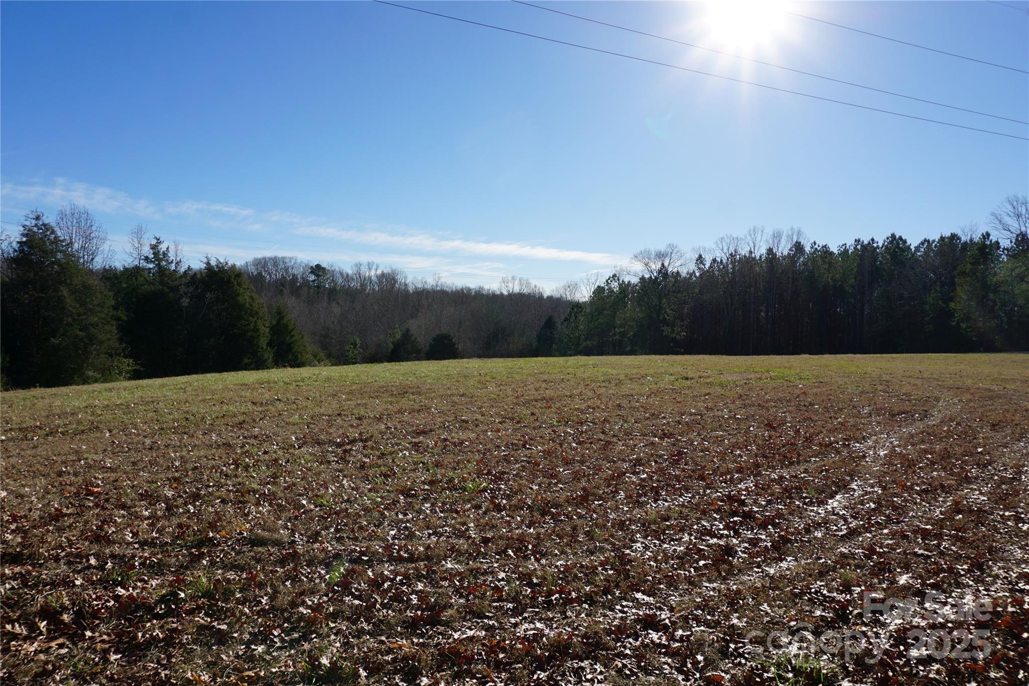14+/-ac Canipe Road Lot E Property Photo 7