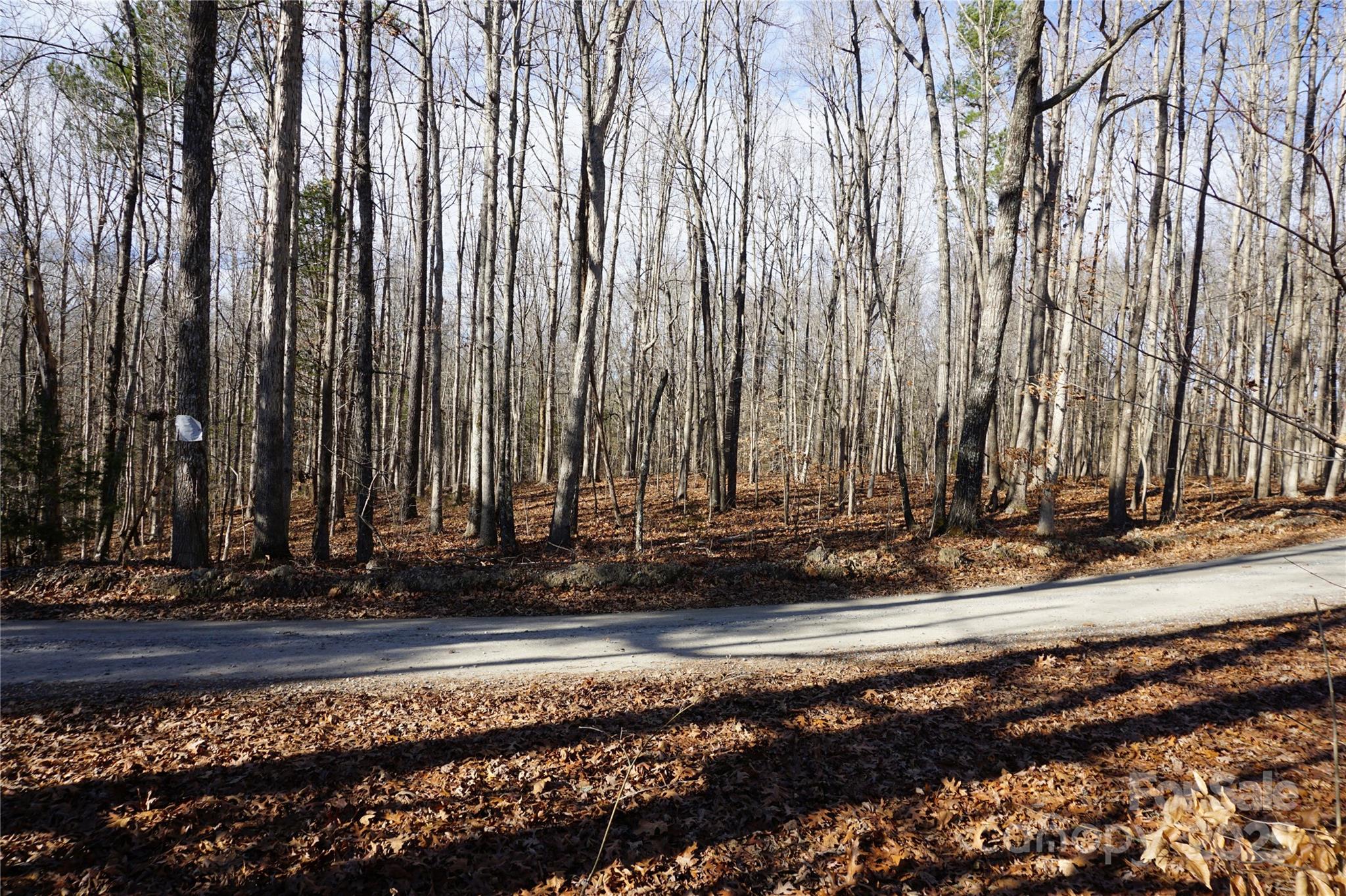 14+/-ac Canipe Road Lot E Property Photo 8