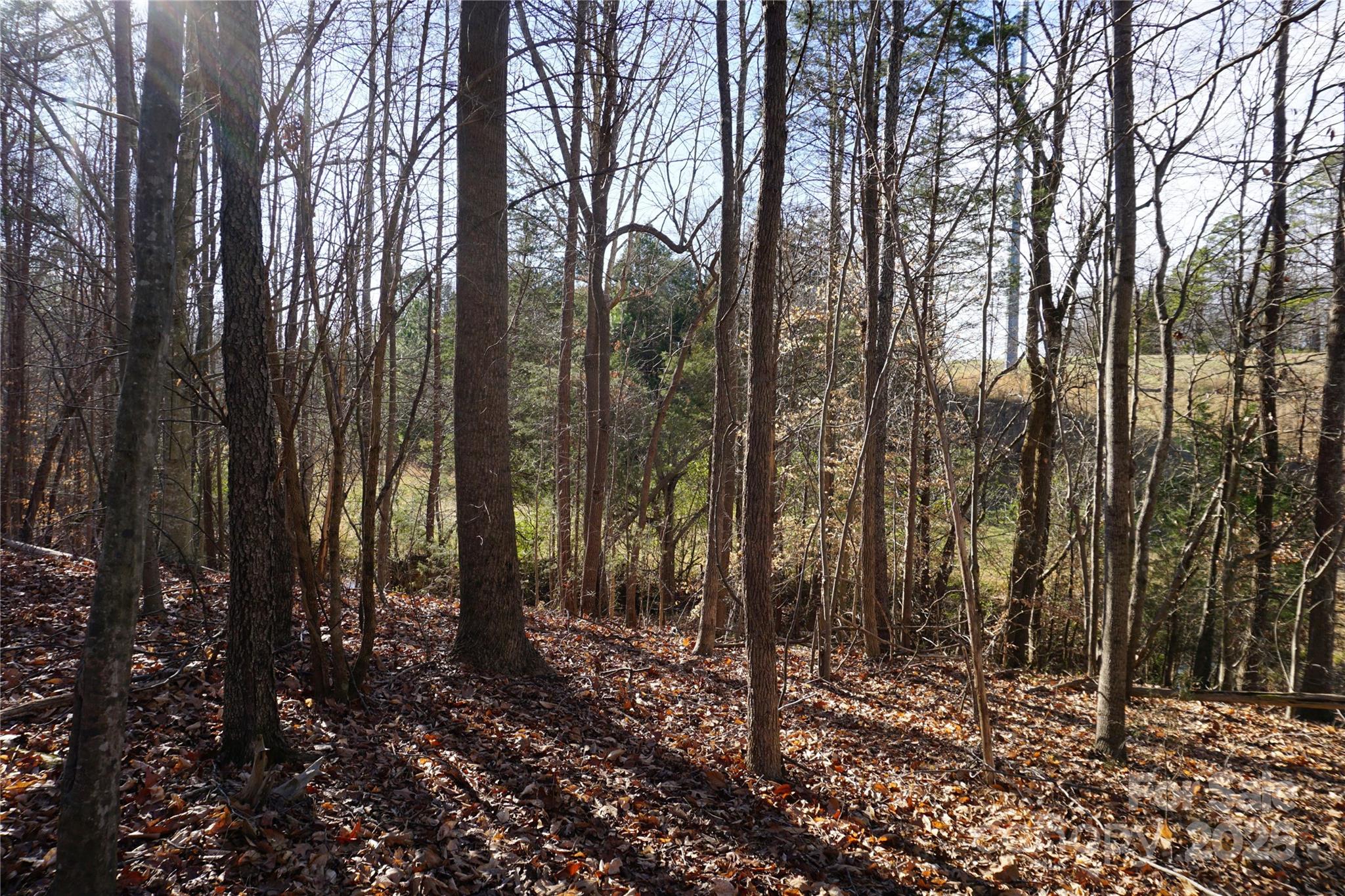 14+/-ac Canipe Road Lot E Property Photo 10