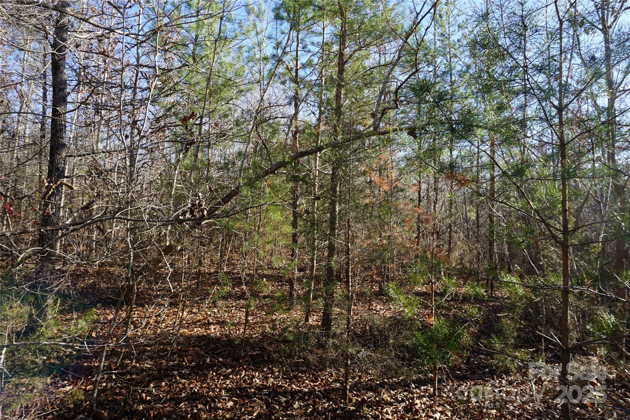 14+/-ac Canipe Road Lot E Property Photo 11