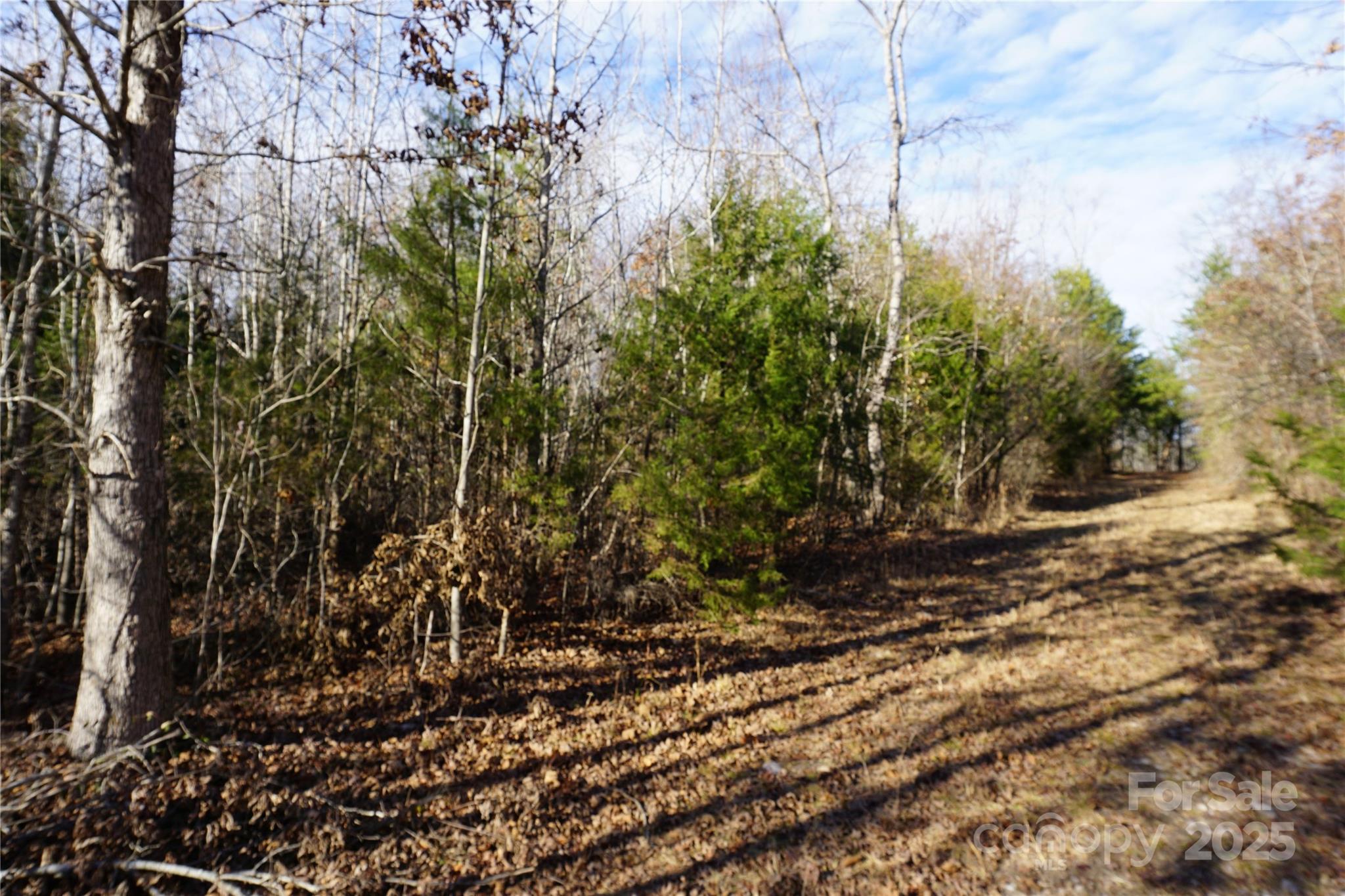 14+/-ac Canipe Road Lot E Property Photo 12